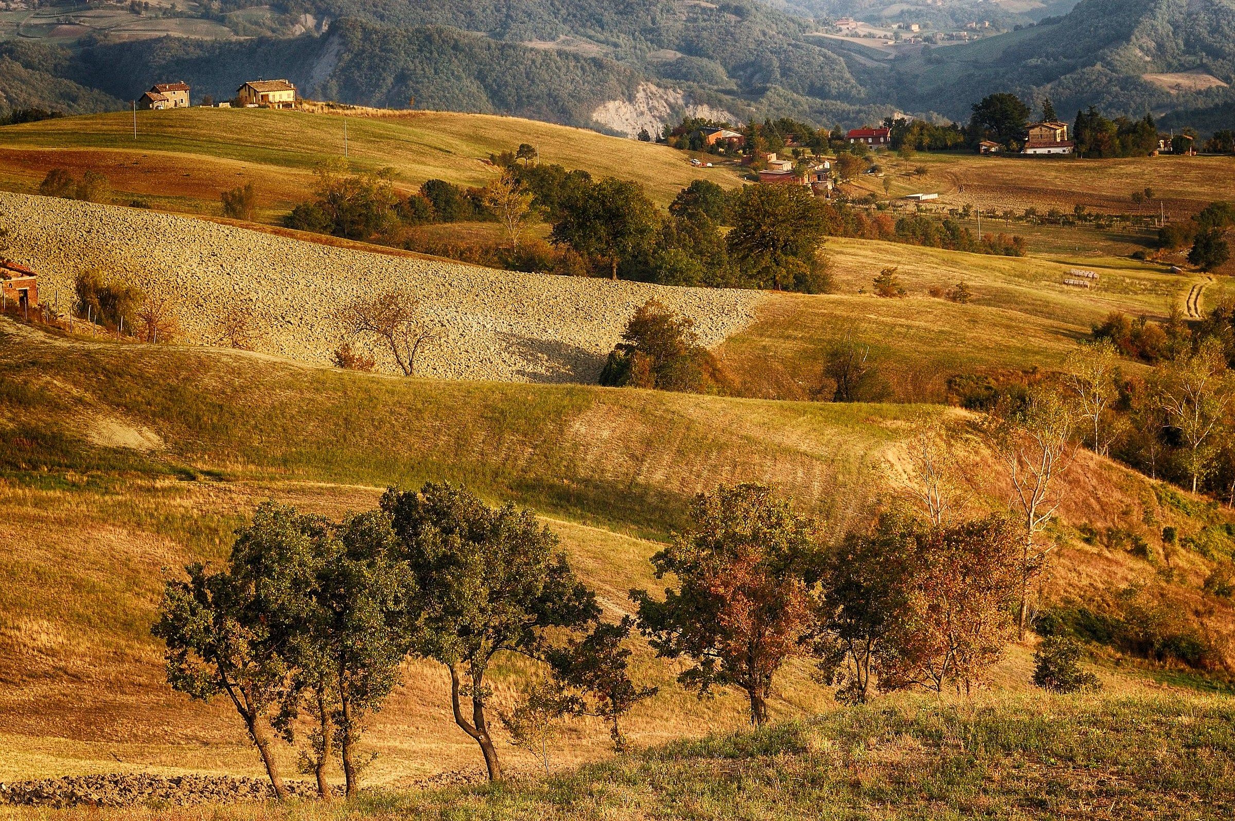 Colline di Reggio Emilia