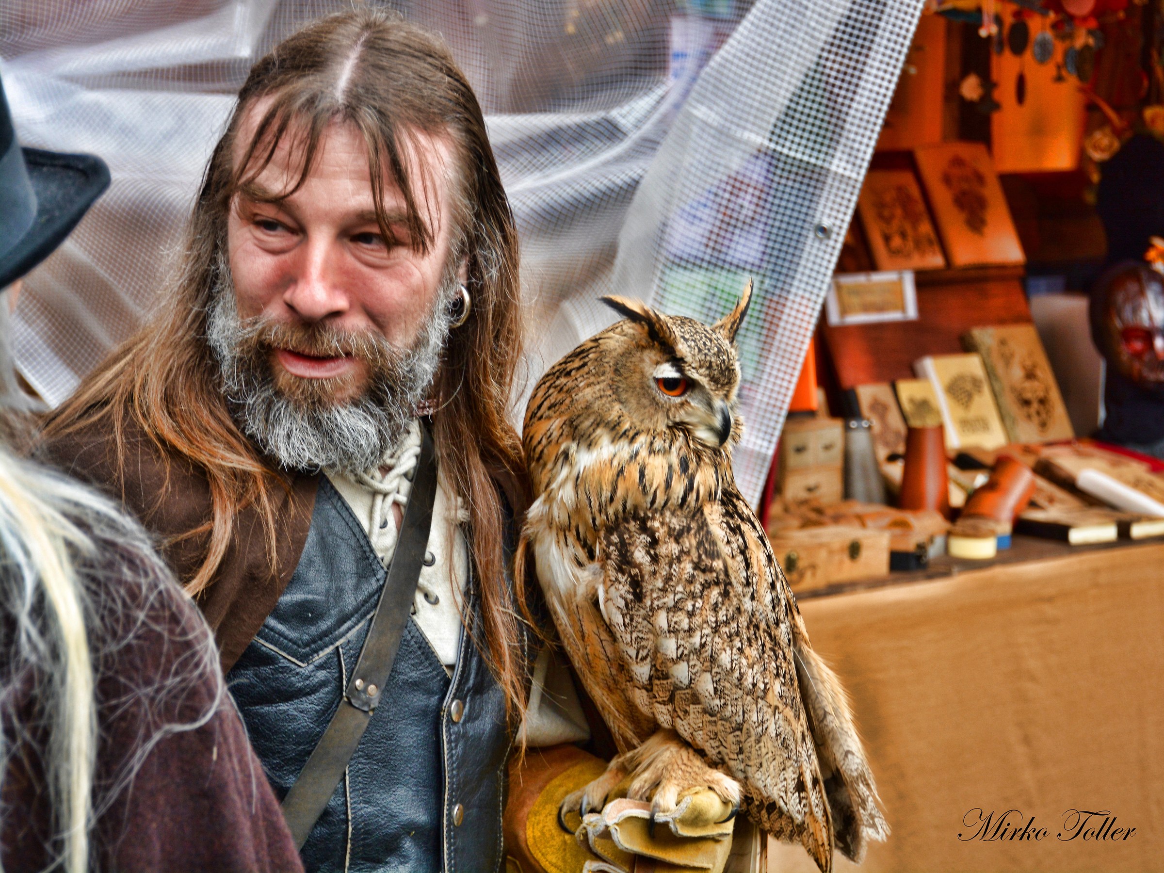 Have you seen Potter?