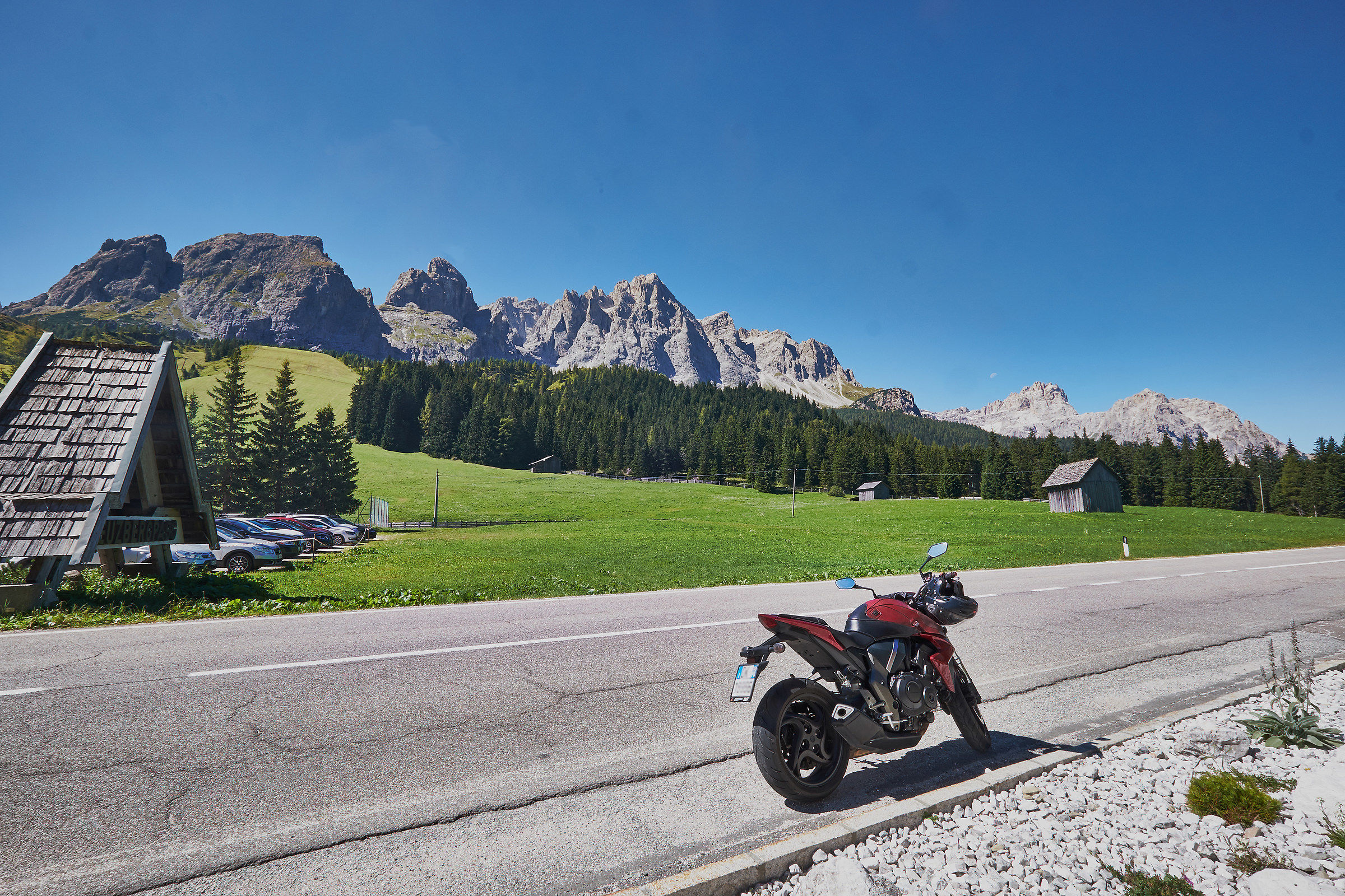 la bestia si riposa e si gode il paesaggio