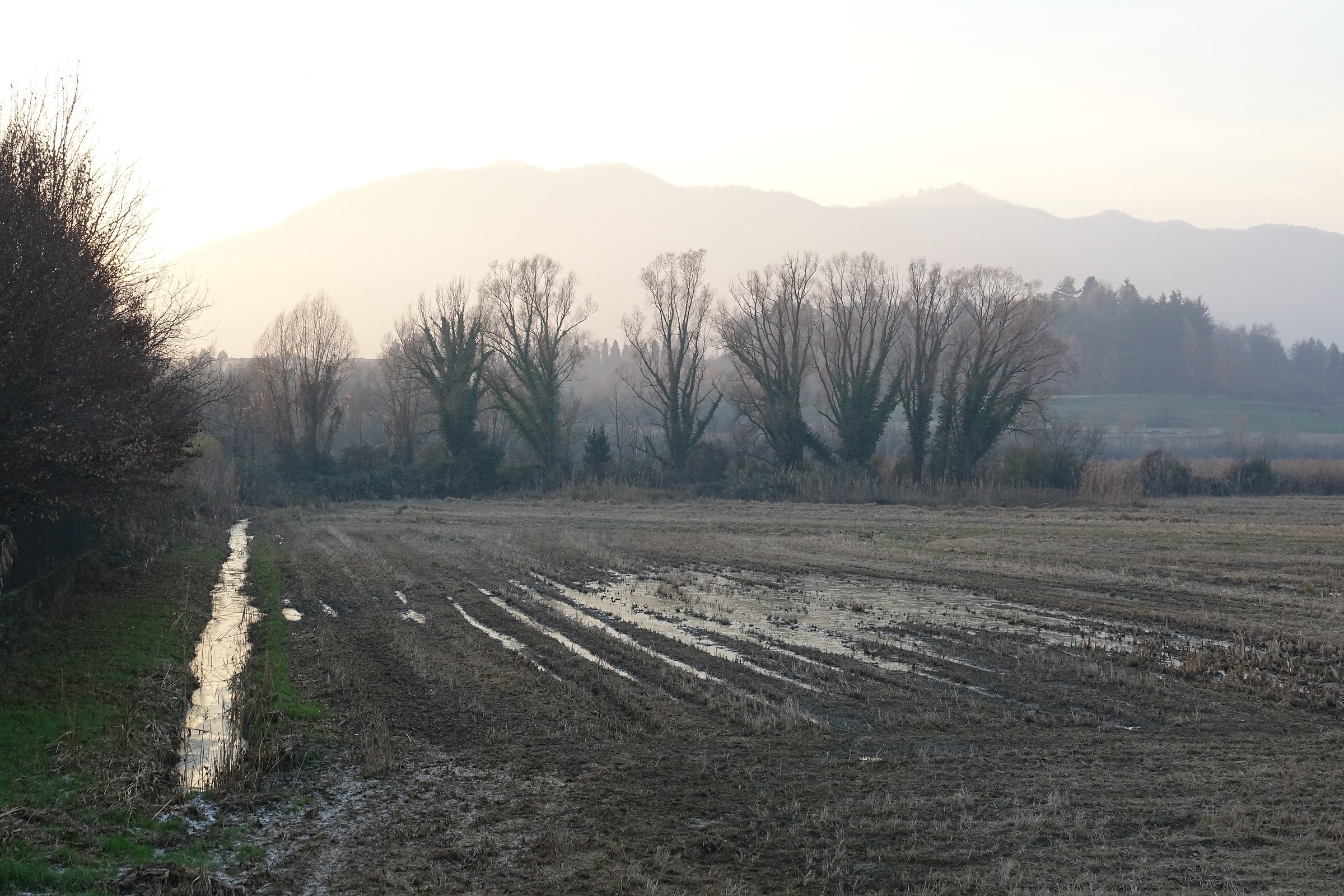 campagna lombarda nel tardo autunno