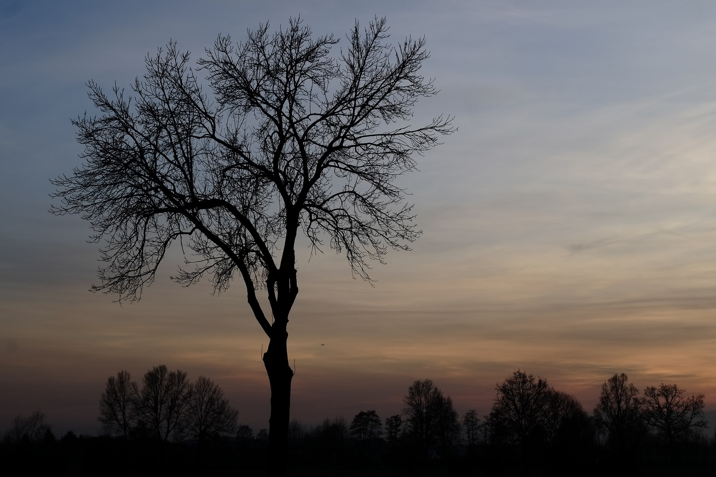 Atterraggio a Caselle...