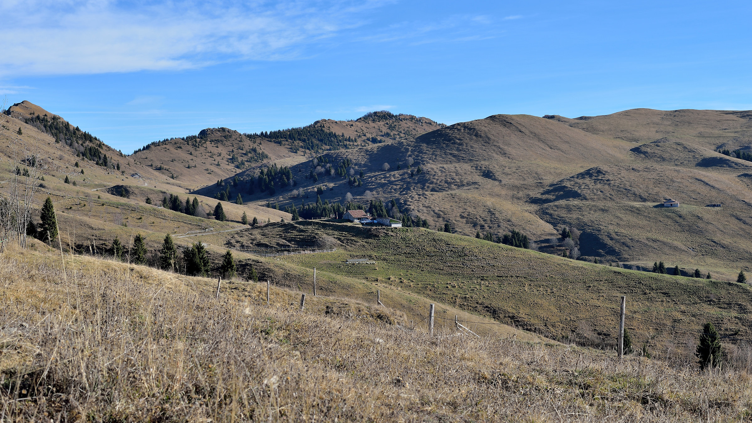 Camminando per prati