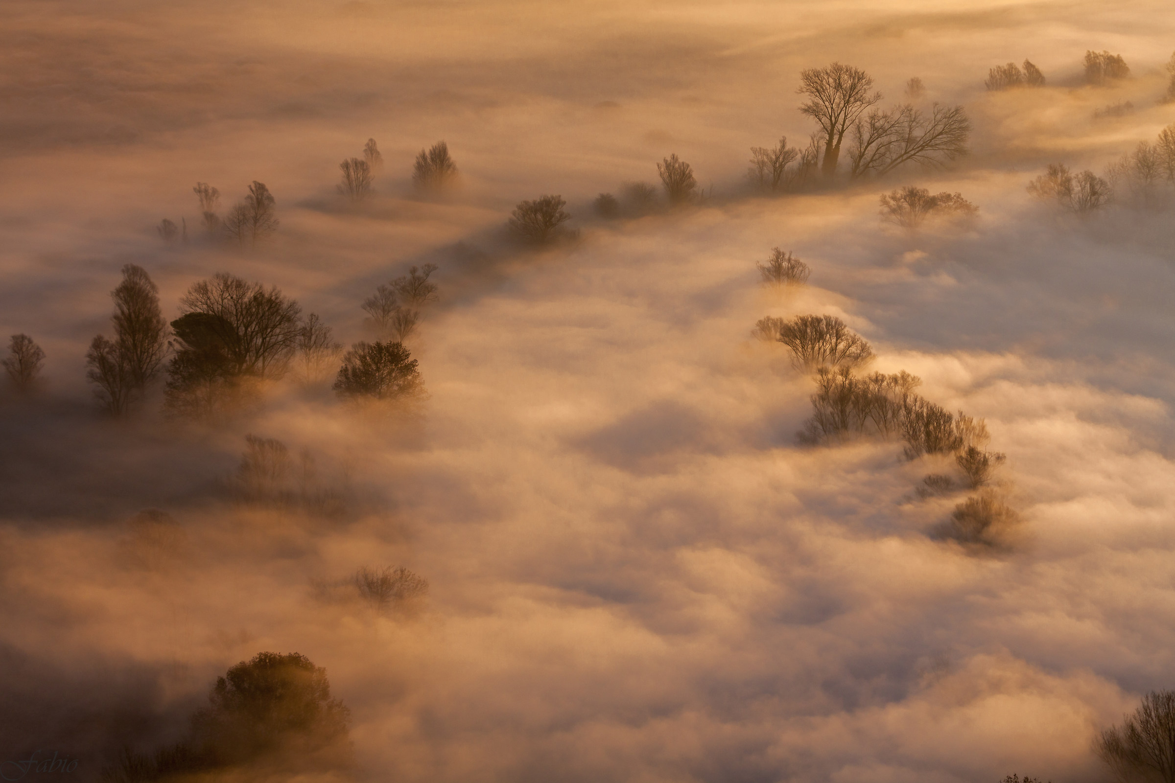 The imcantata Valley