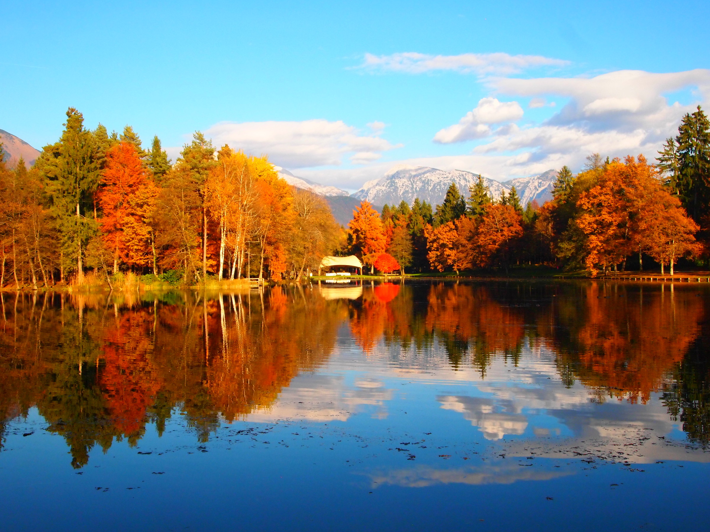 Actually on the lake