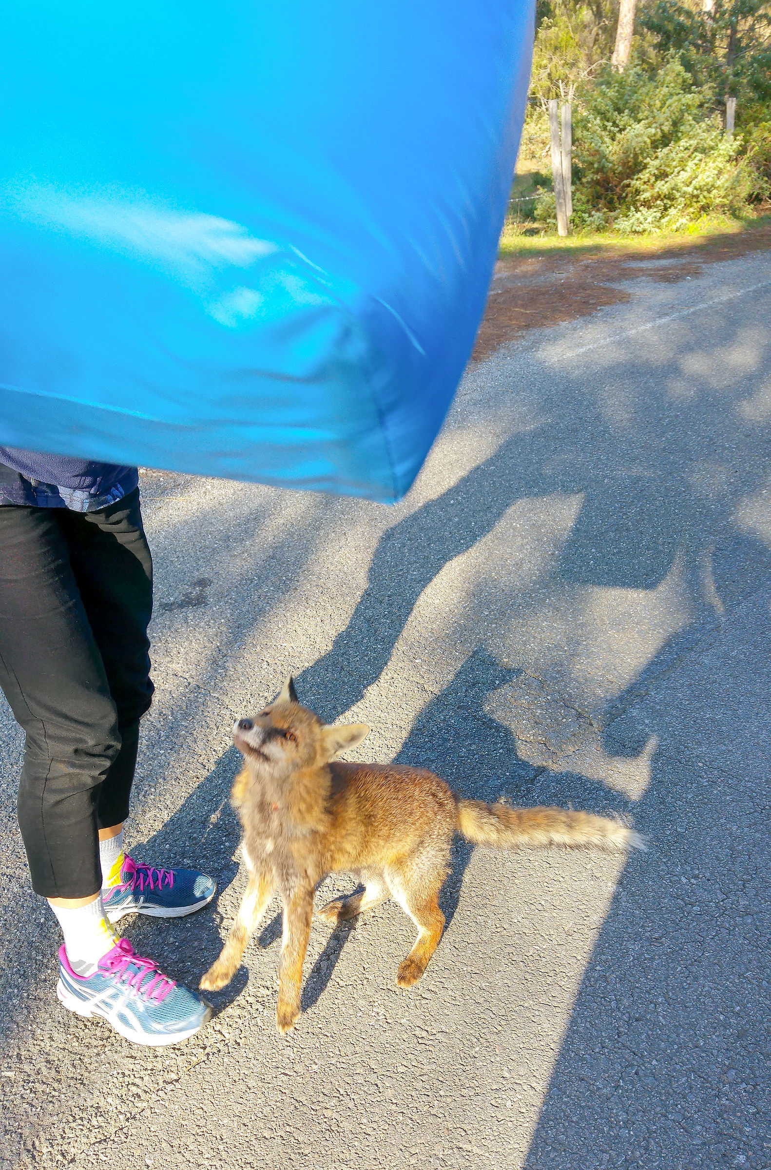 hungry - Uccellina Park