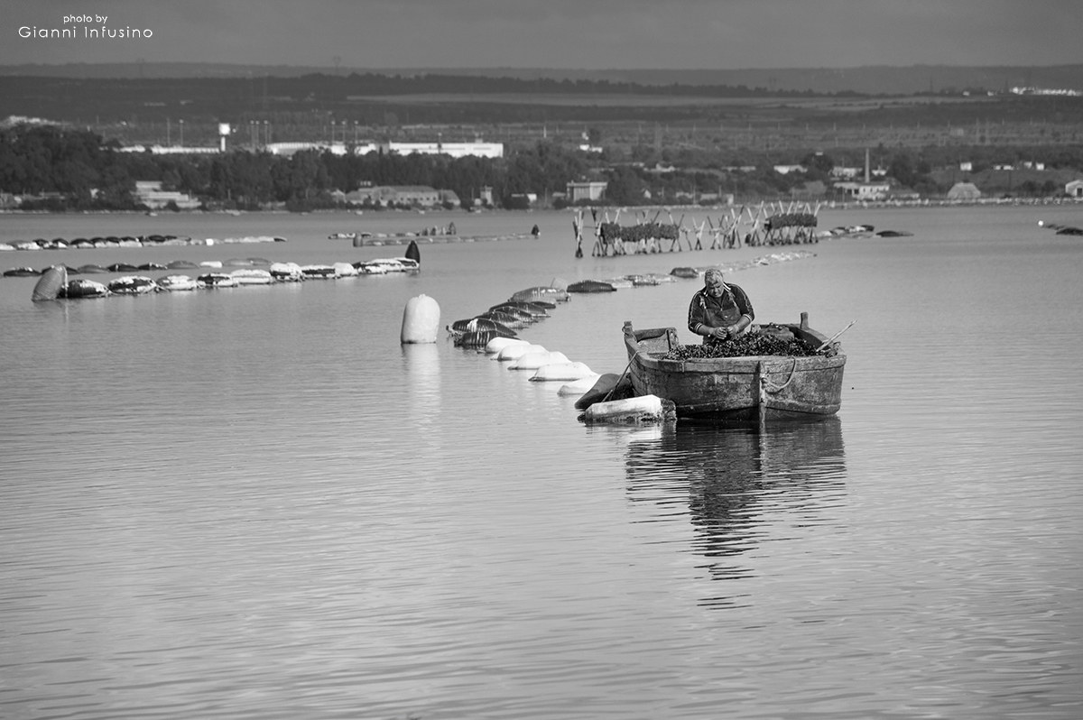 Mare Piccolo - Taranto