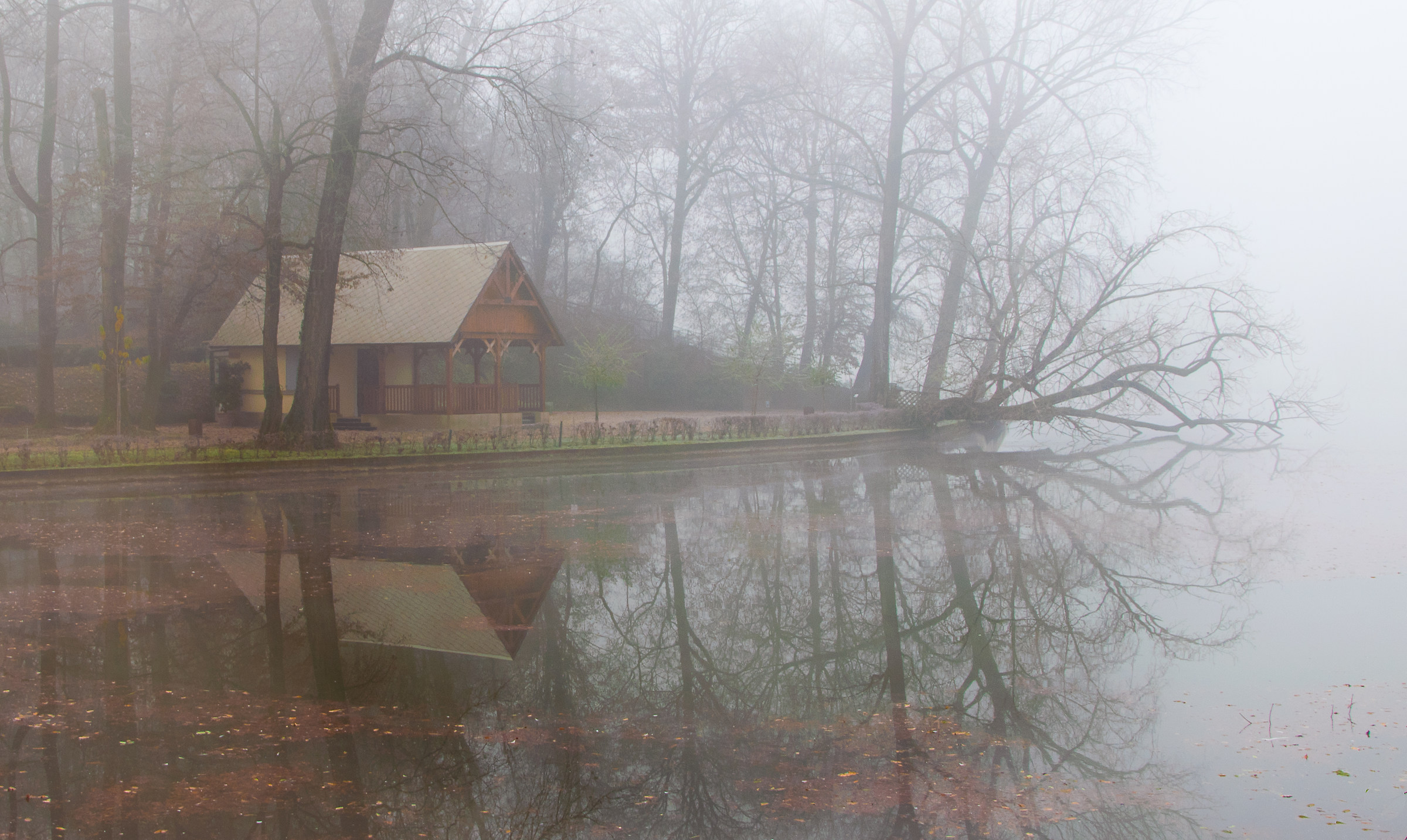 Even the fog has its charm