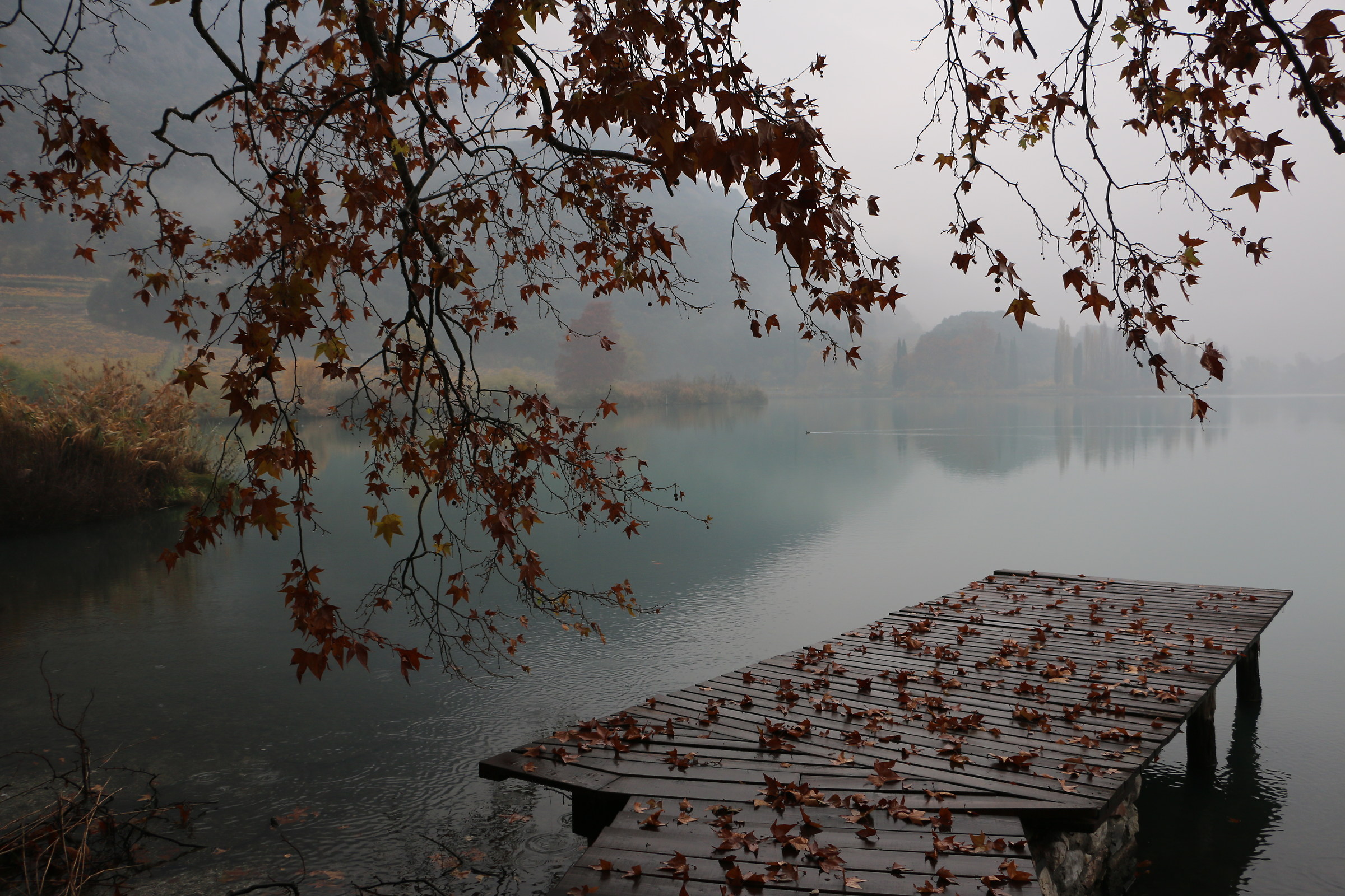 Mio pontile per prendere il Bardo