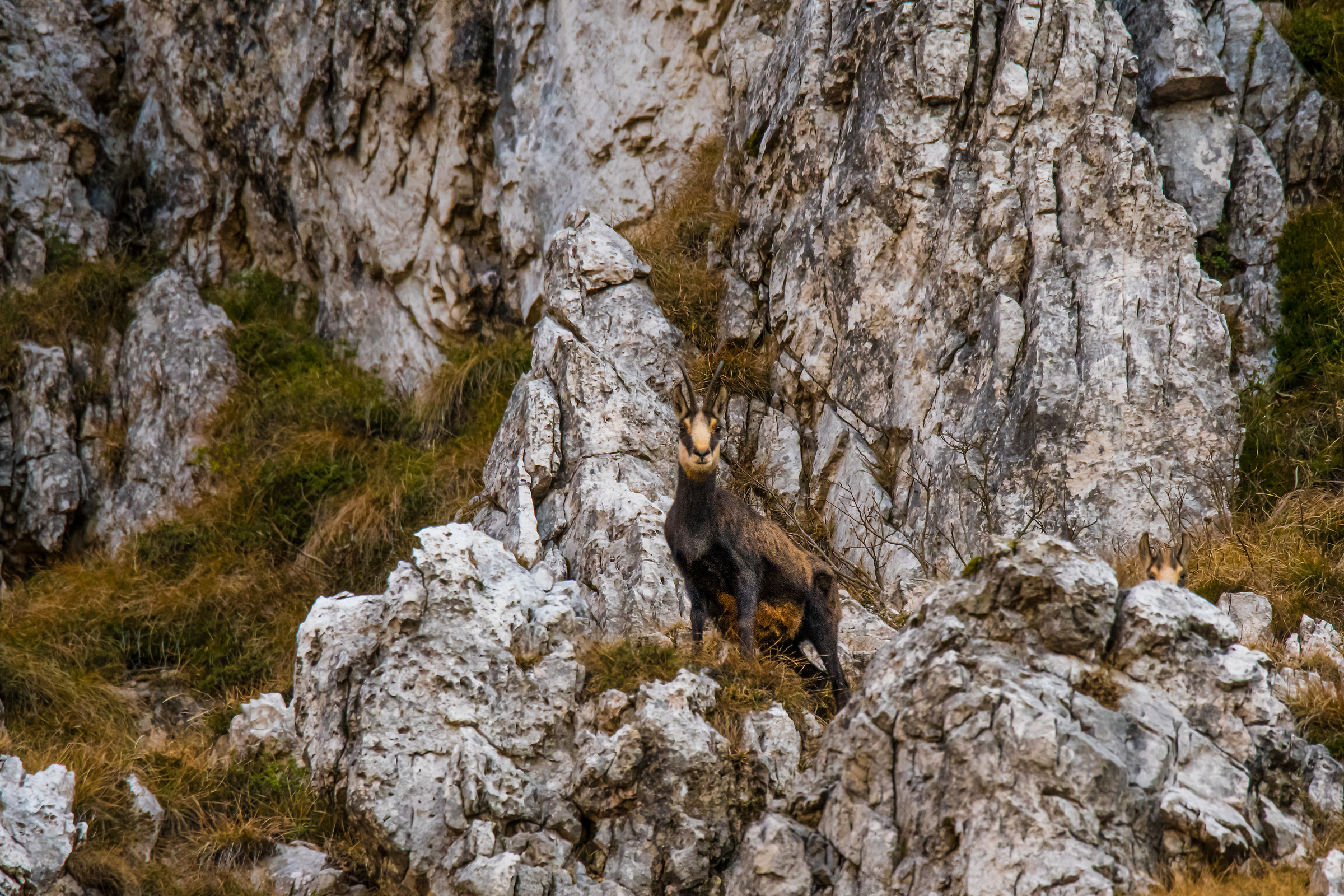 vedi qualcuno mamma?