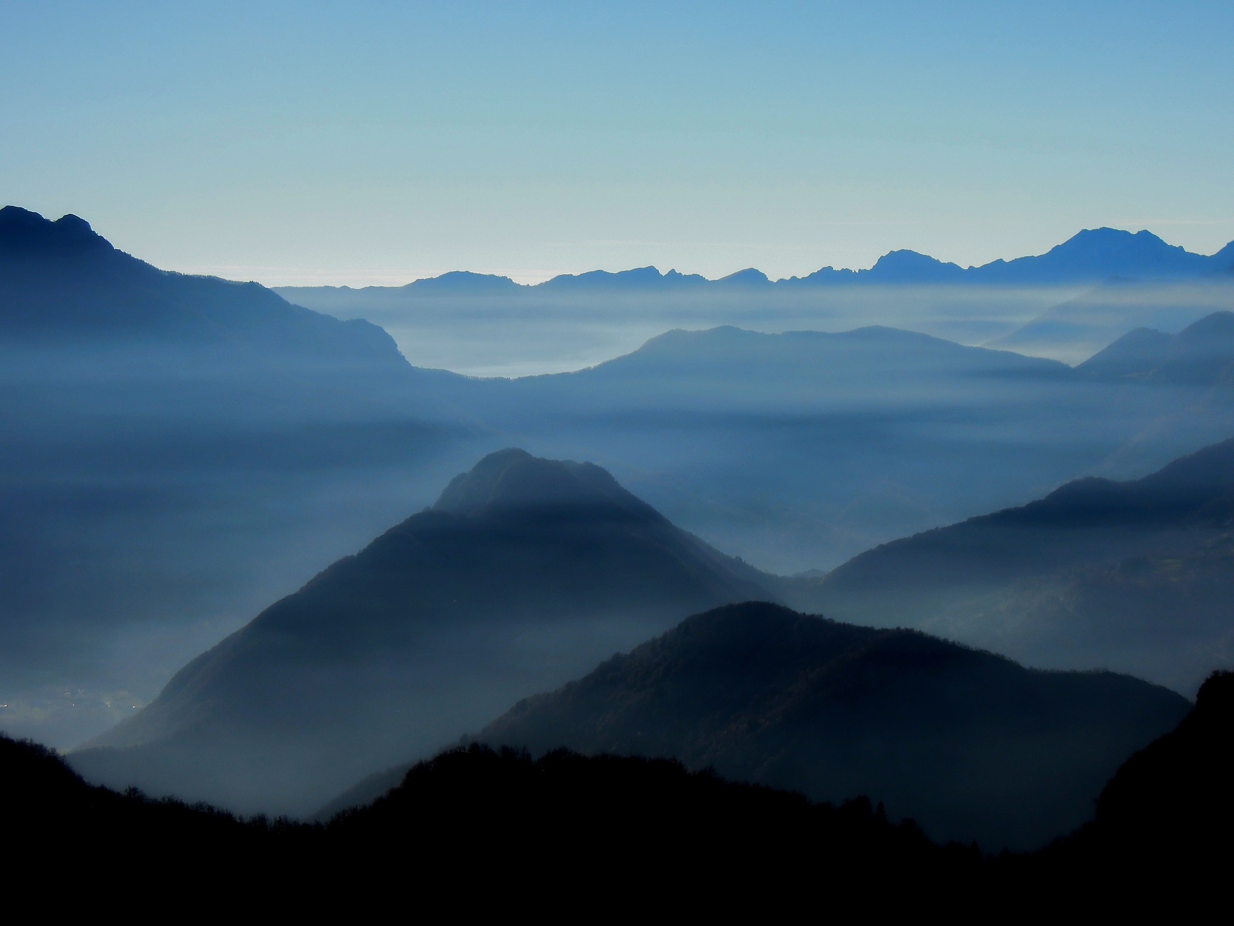 La nebbia agli irti colli
