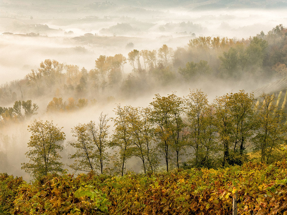 Langhe autumn