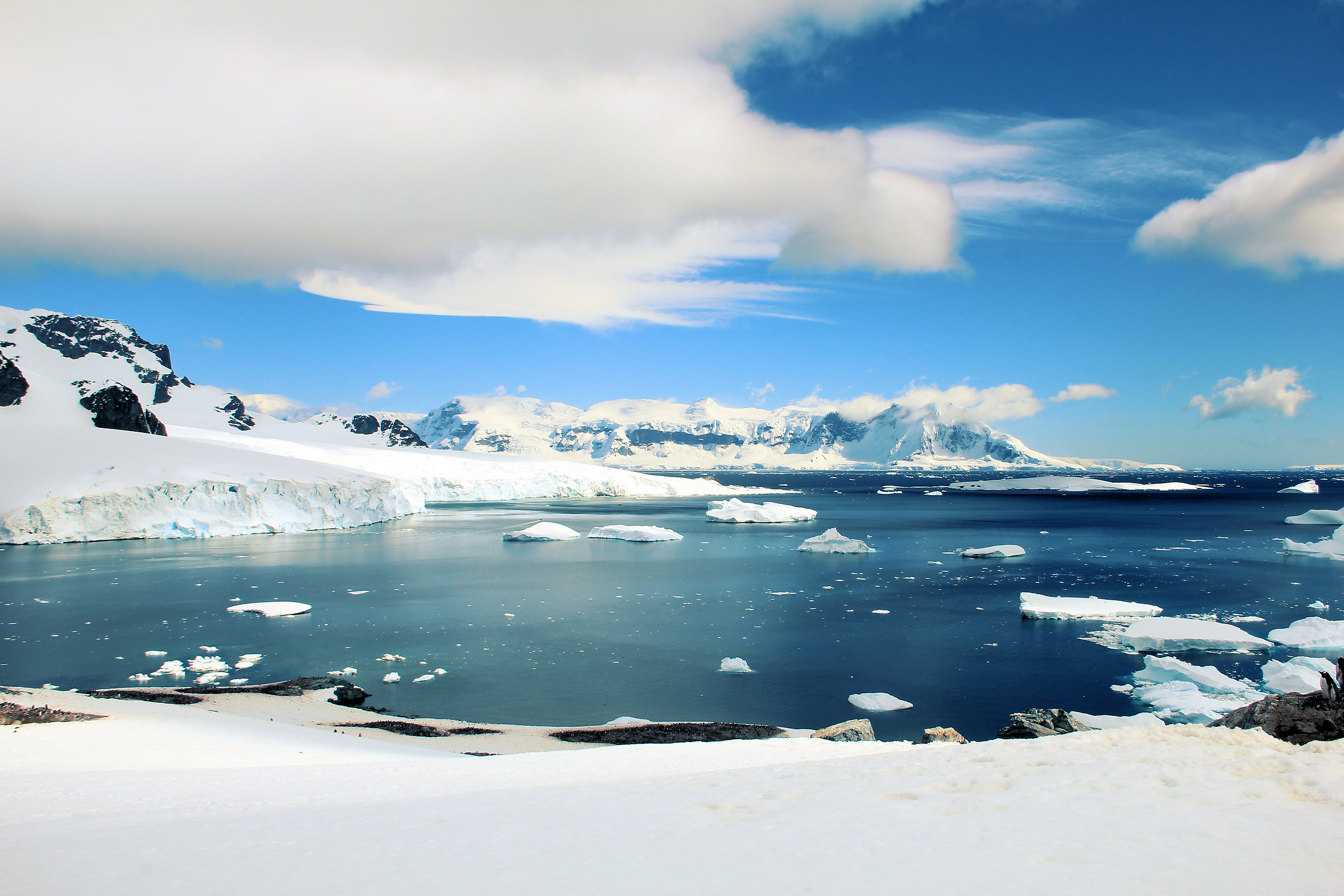 Mare calmo della baia