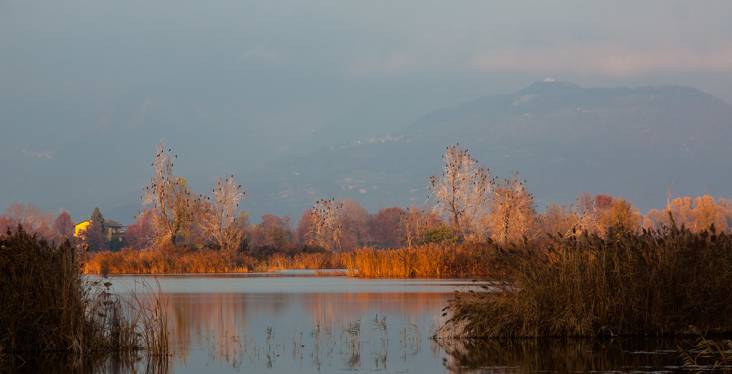 Waiting for the evening ... the peat bogs