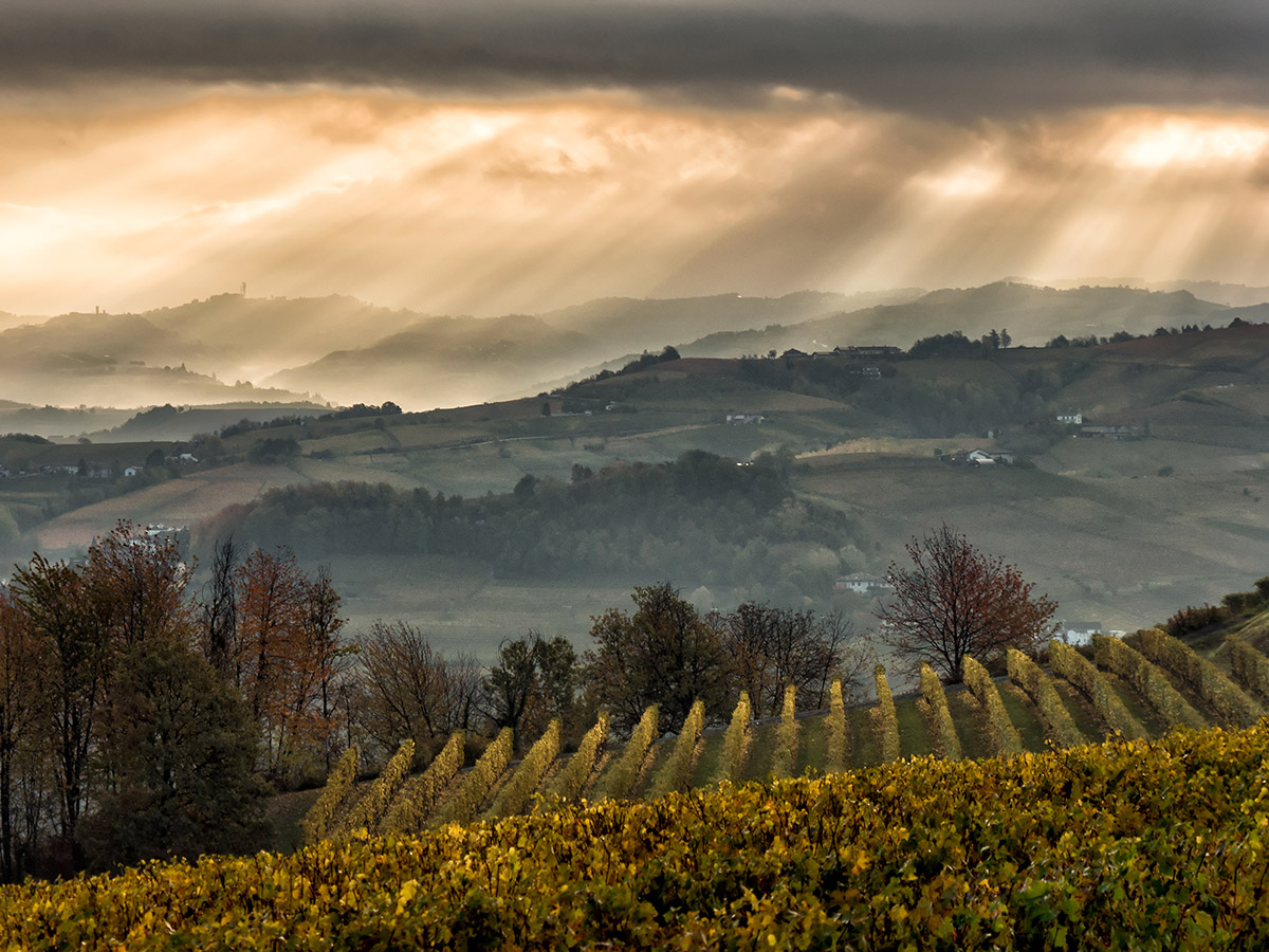 Langhe autumn
