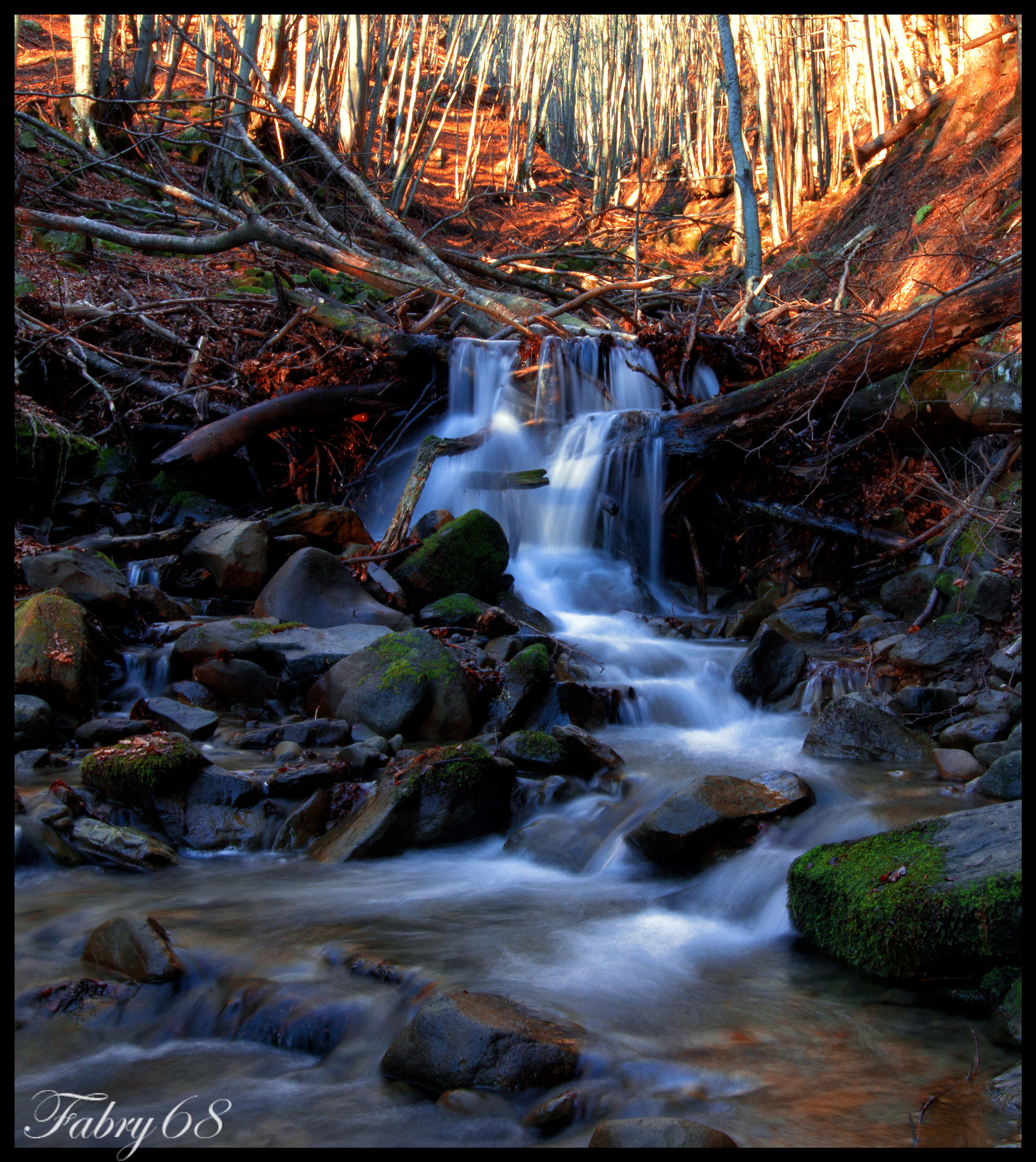 Parco Nazionale Delle Foreste Casentinesi