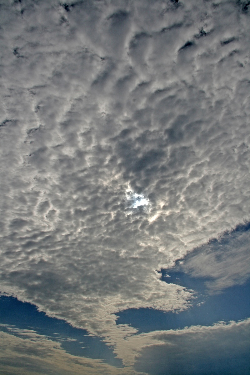 Altocumulus Stratiformis Translucidus