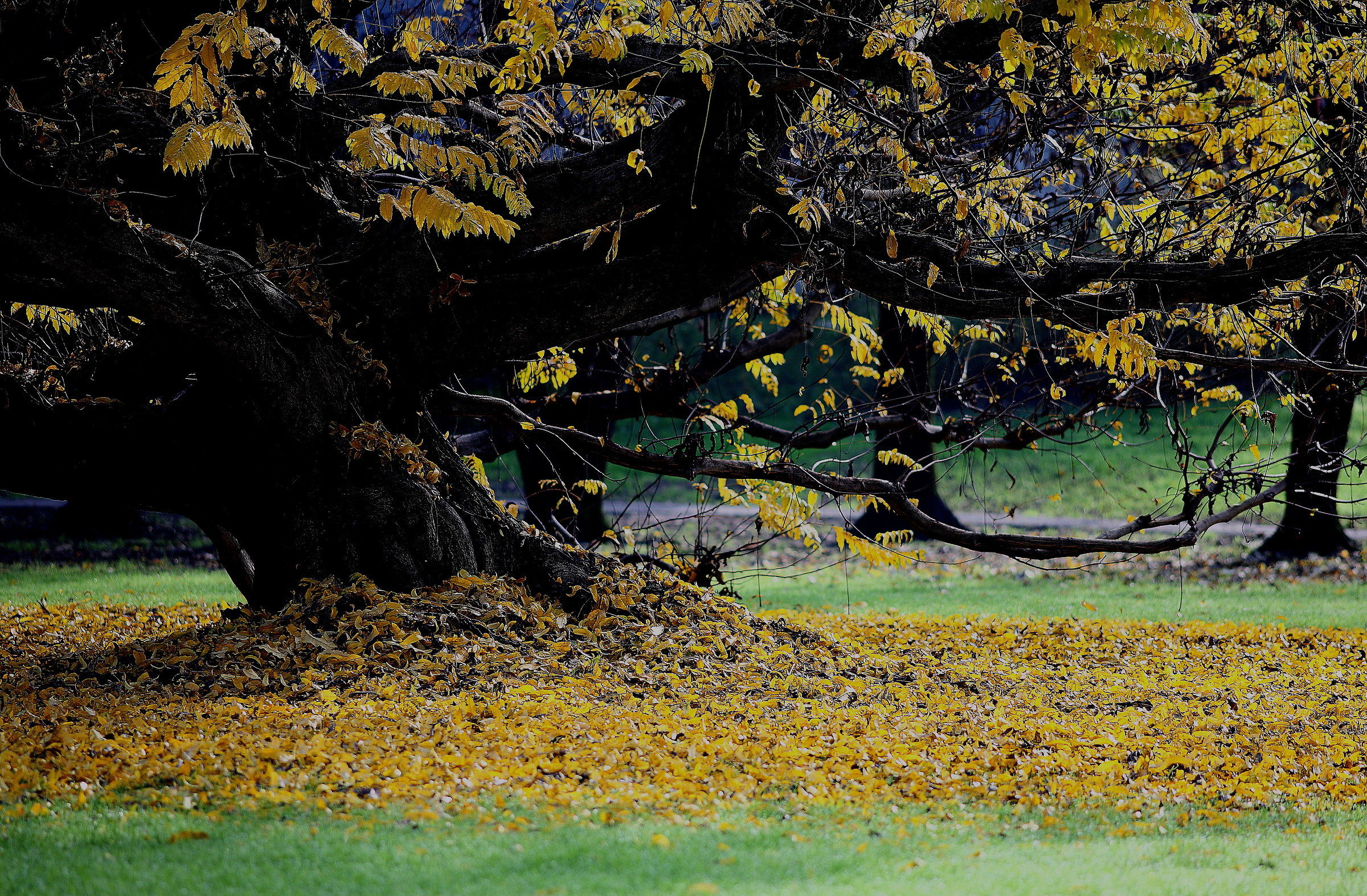 Untitled Photo