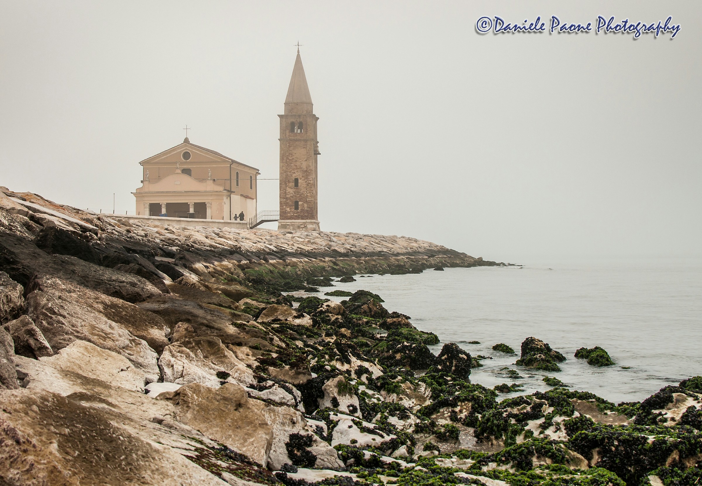 On the cliff in the fog