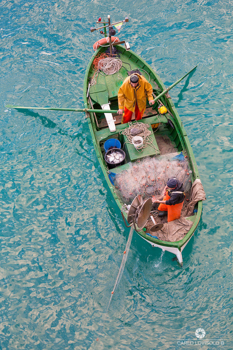 Ligurian Sea goiter and fishermen at work