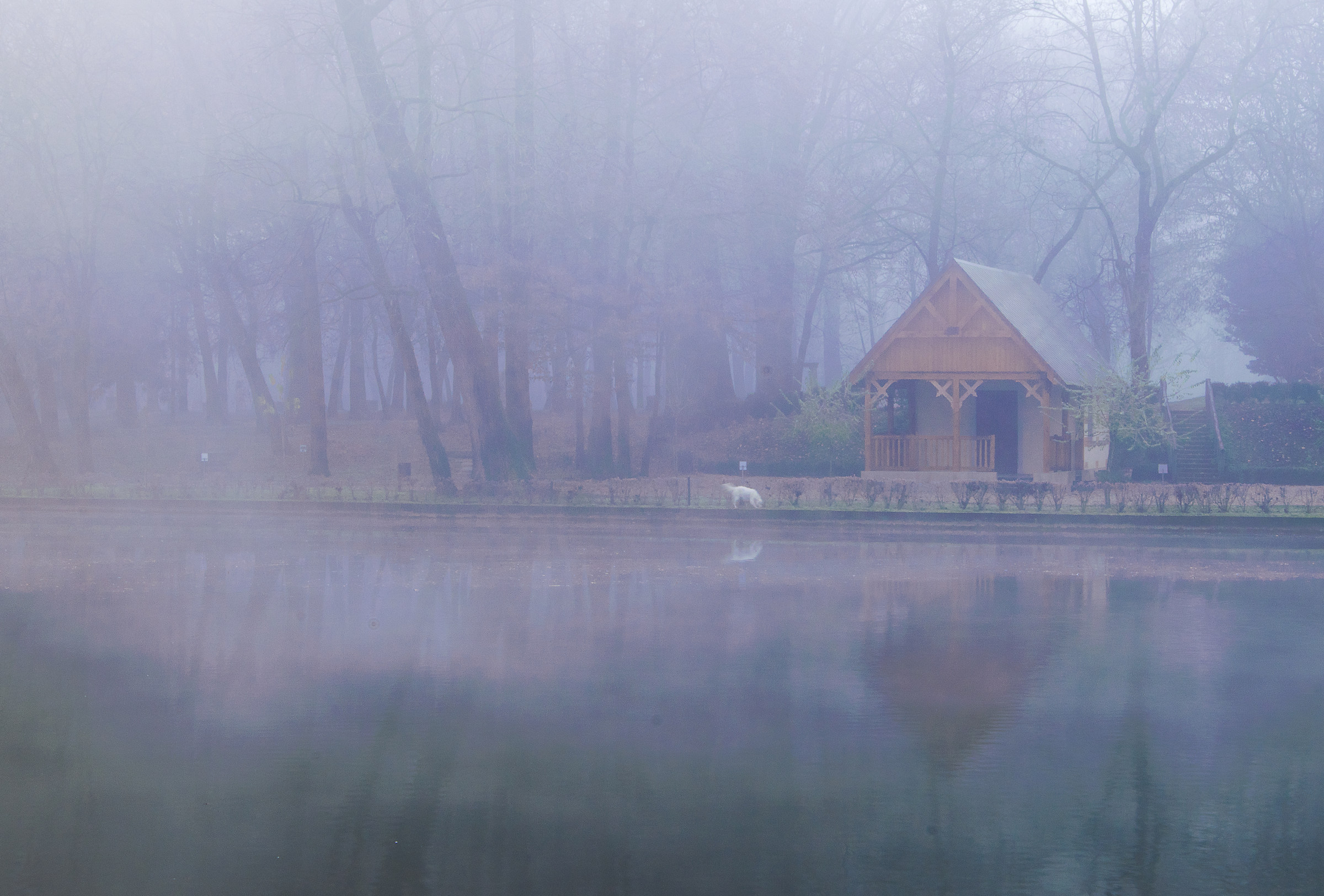 The house of the fairies