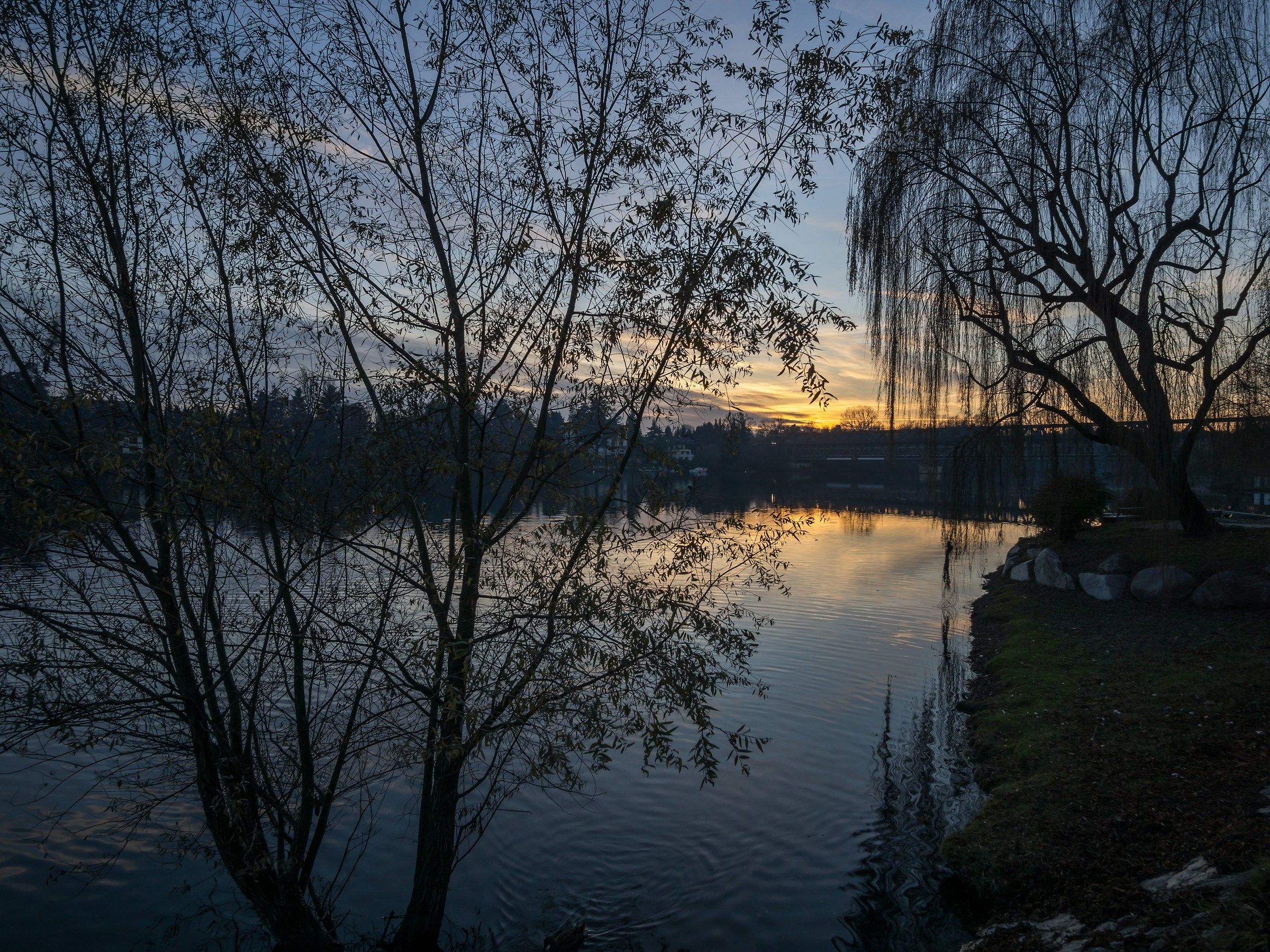 Domenica 11 Dicembre 2016, 16:32