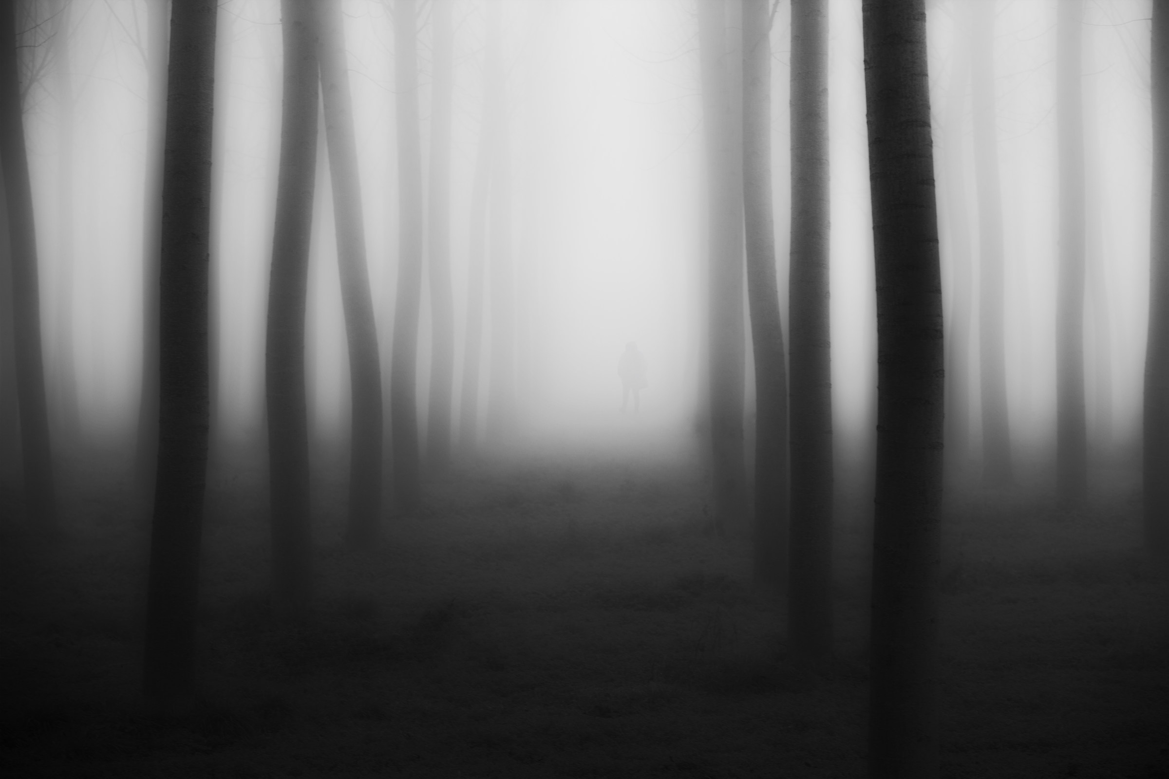 Qualcuno nella nebbia