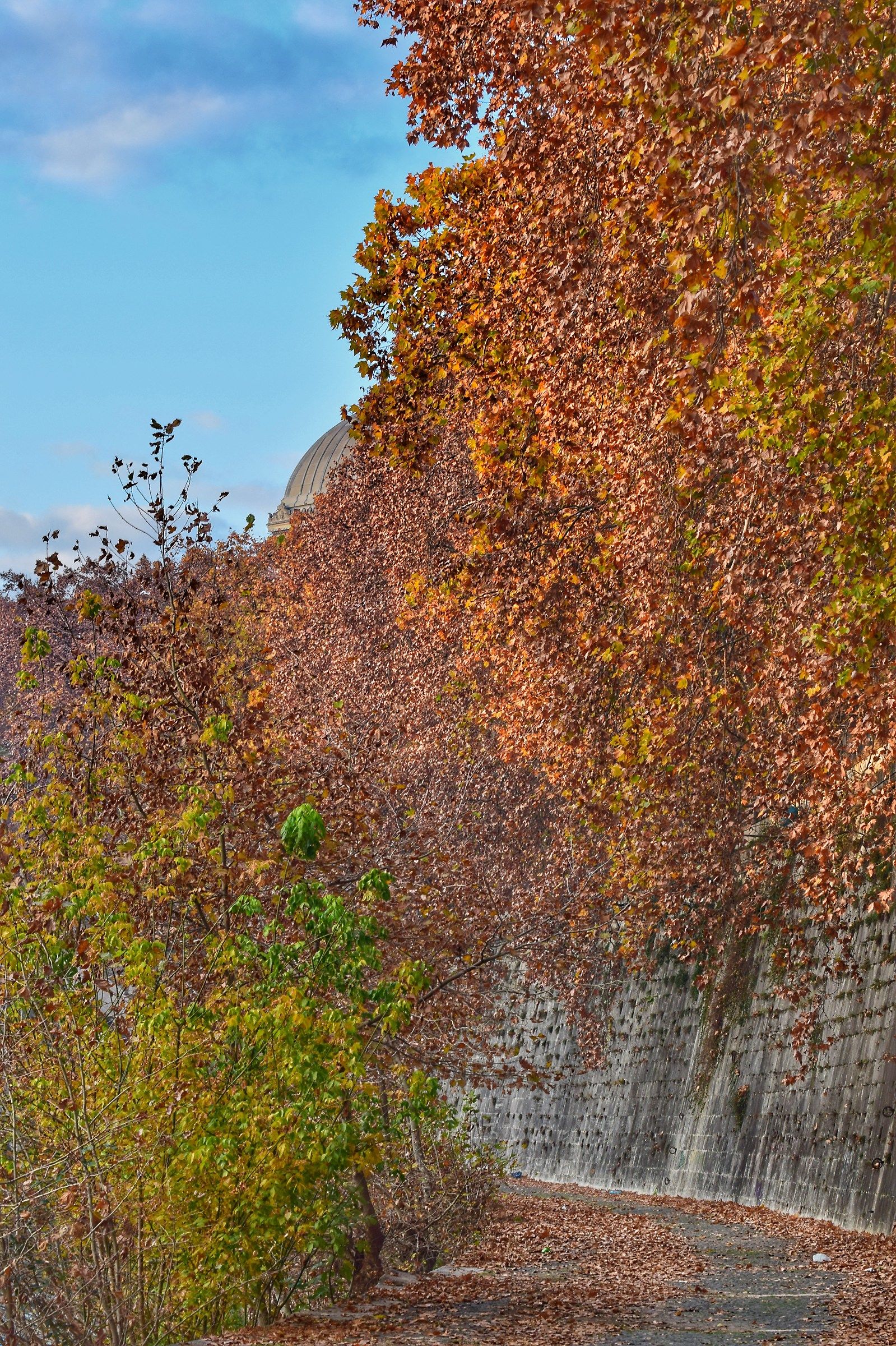 Autunno lungo il tevere