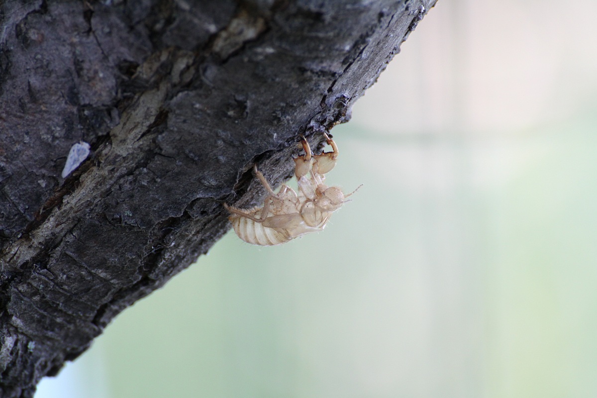 The emptiness inside