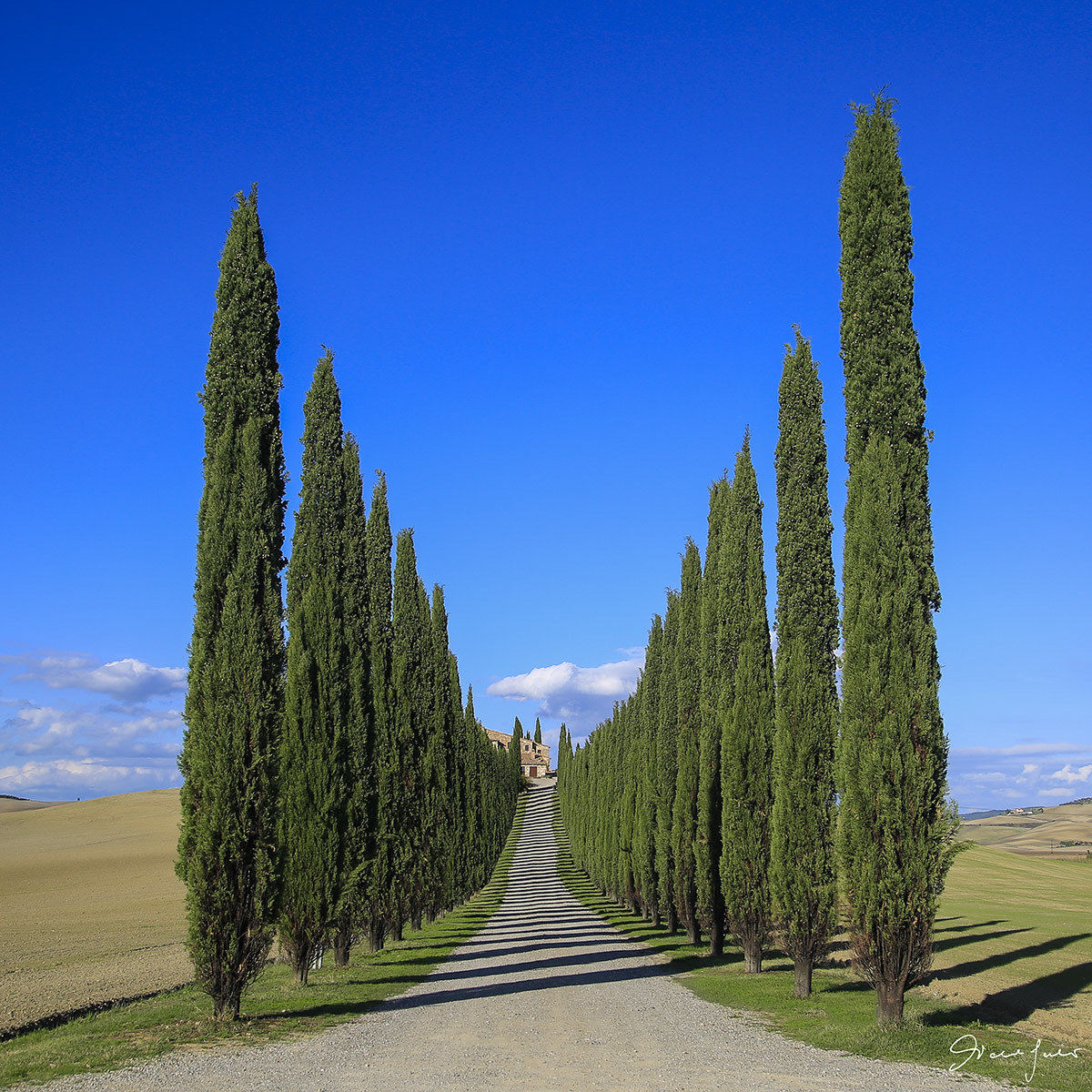 shadow steps - Val d'Orcia (Si)