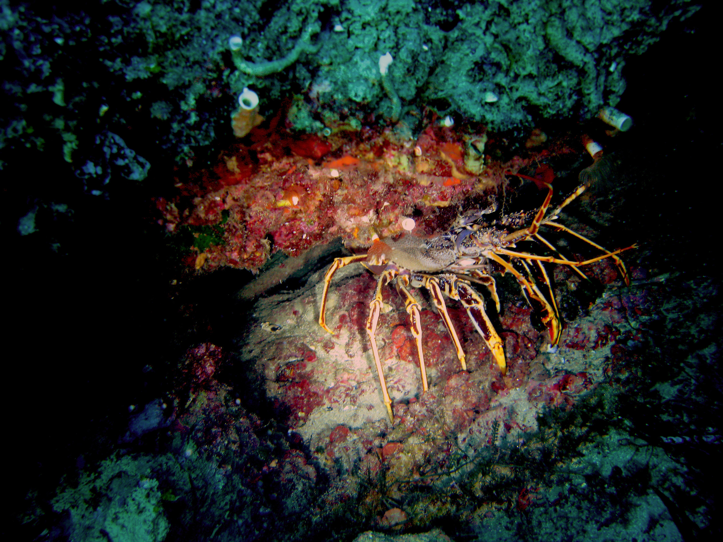 how many visitors today !!!