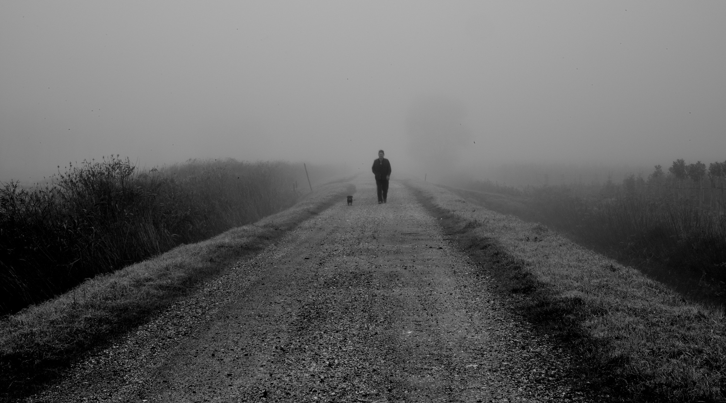a walk in the fog