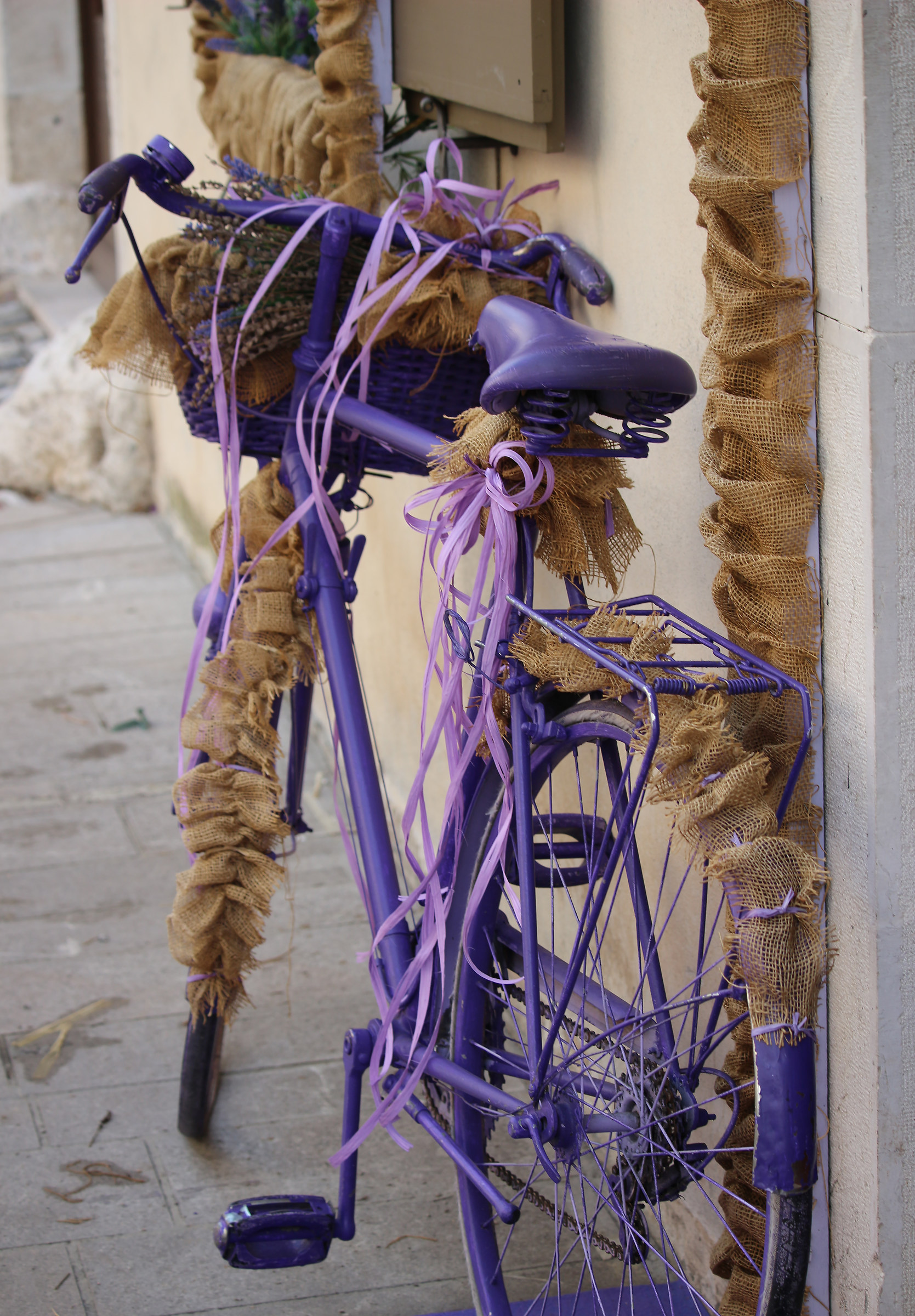 Bicycle with fantasy