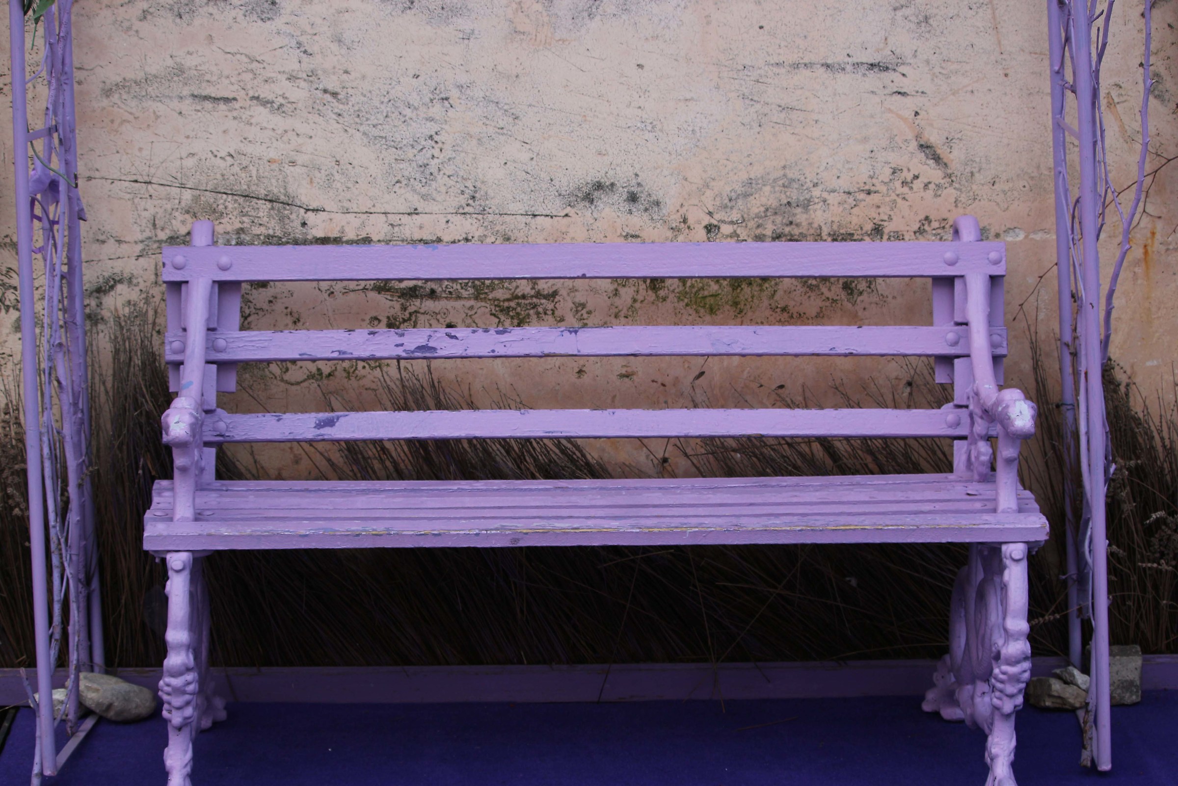 The colored lavender bench