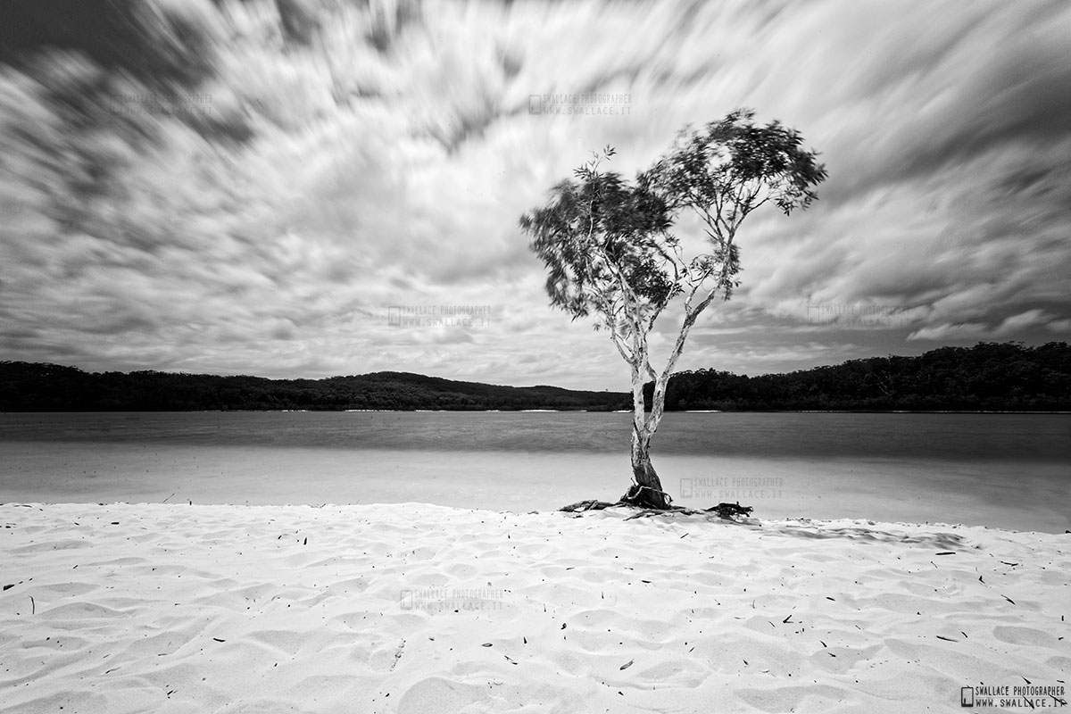 Fraser Island - lake mckenzie - Australia