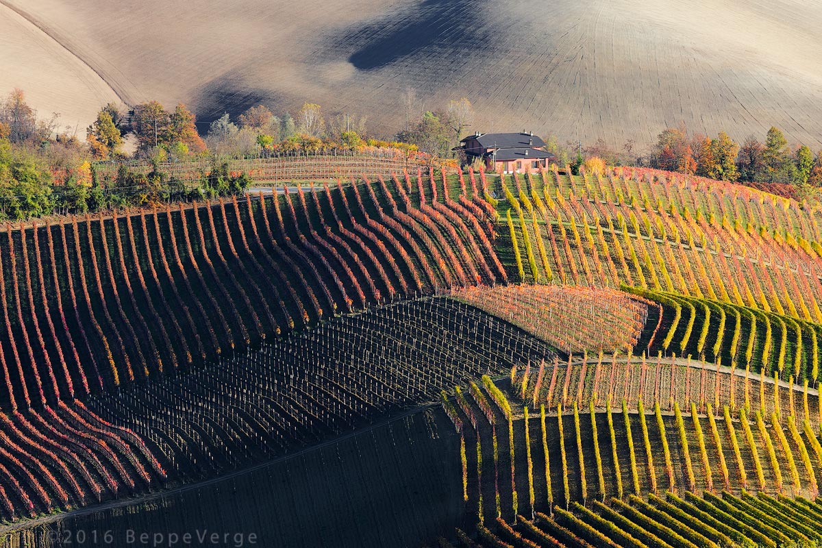 La terra del vino
