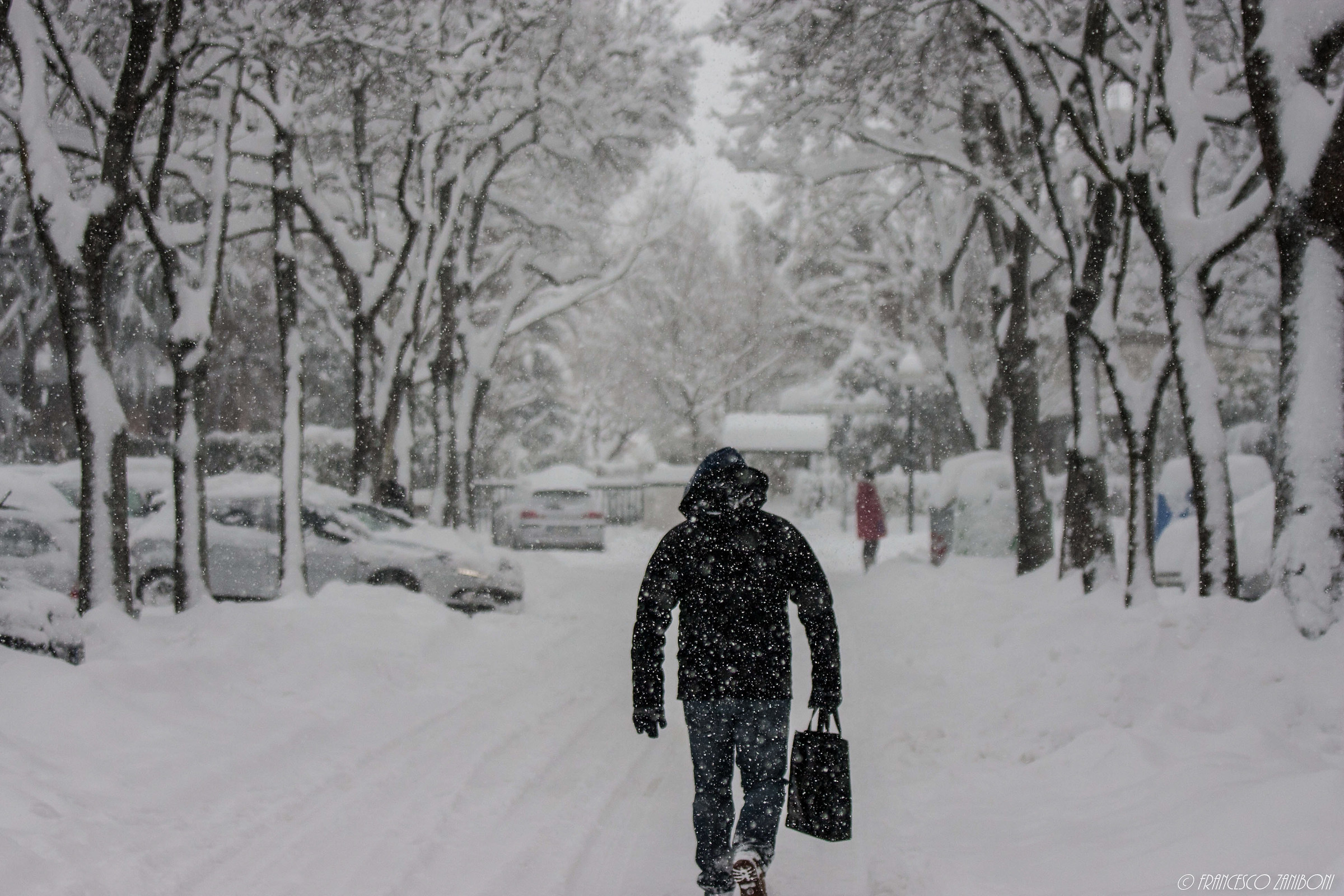 Chicago and Bologna?