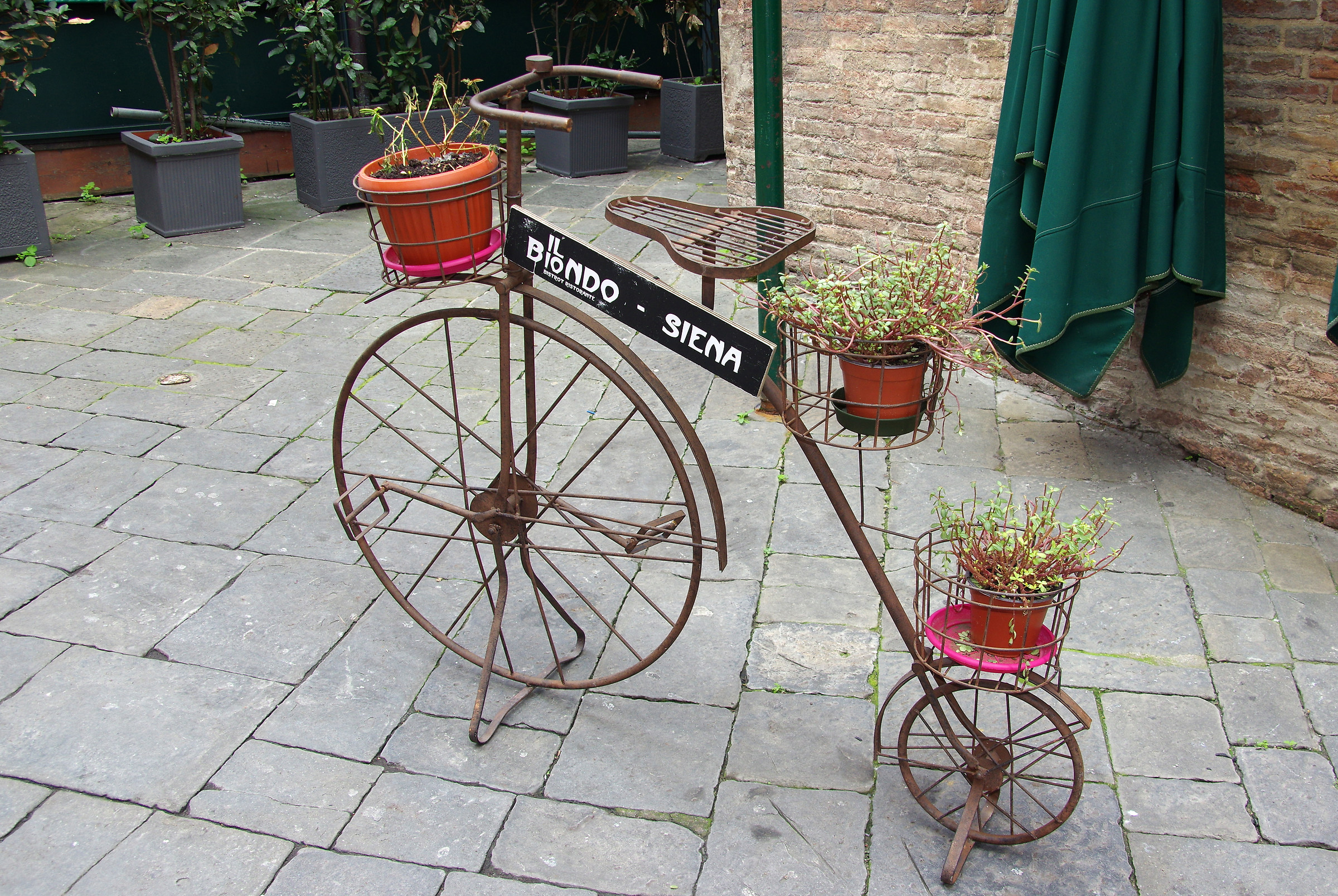 The Bike Advertising