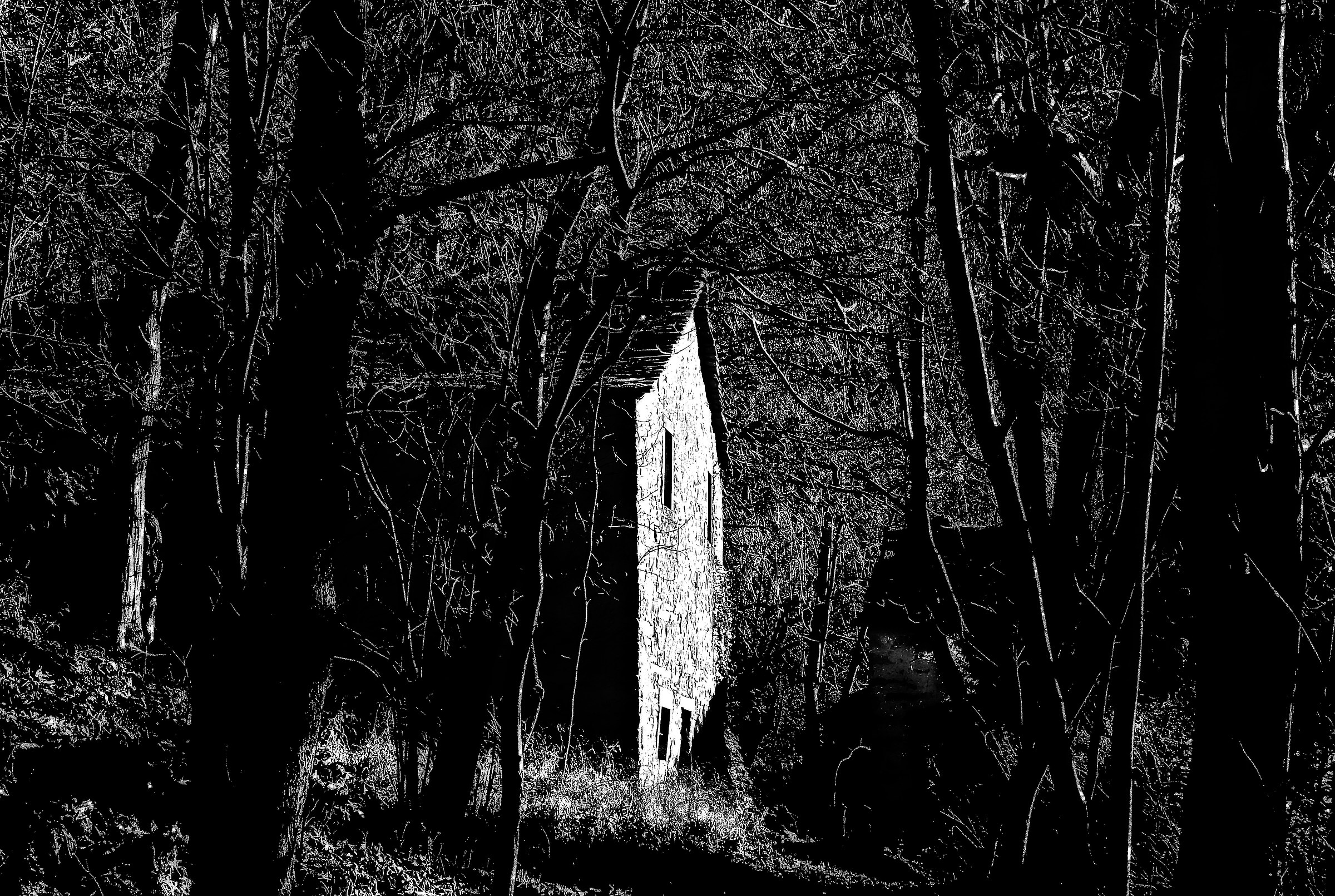 Casa nella selva oscura