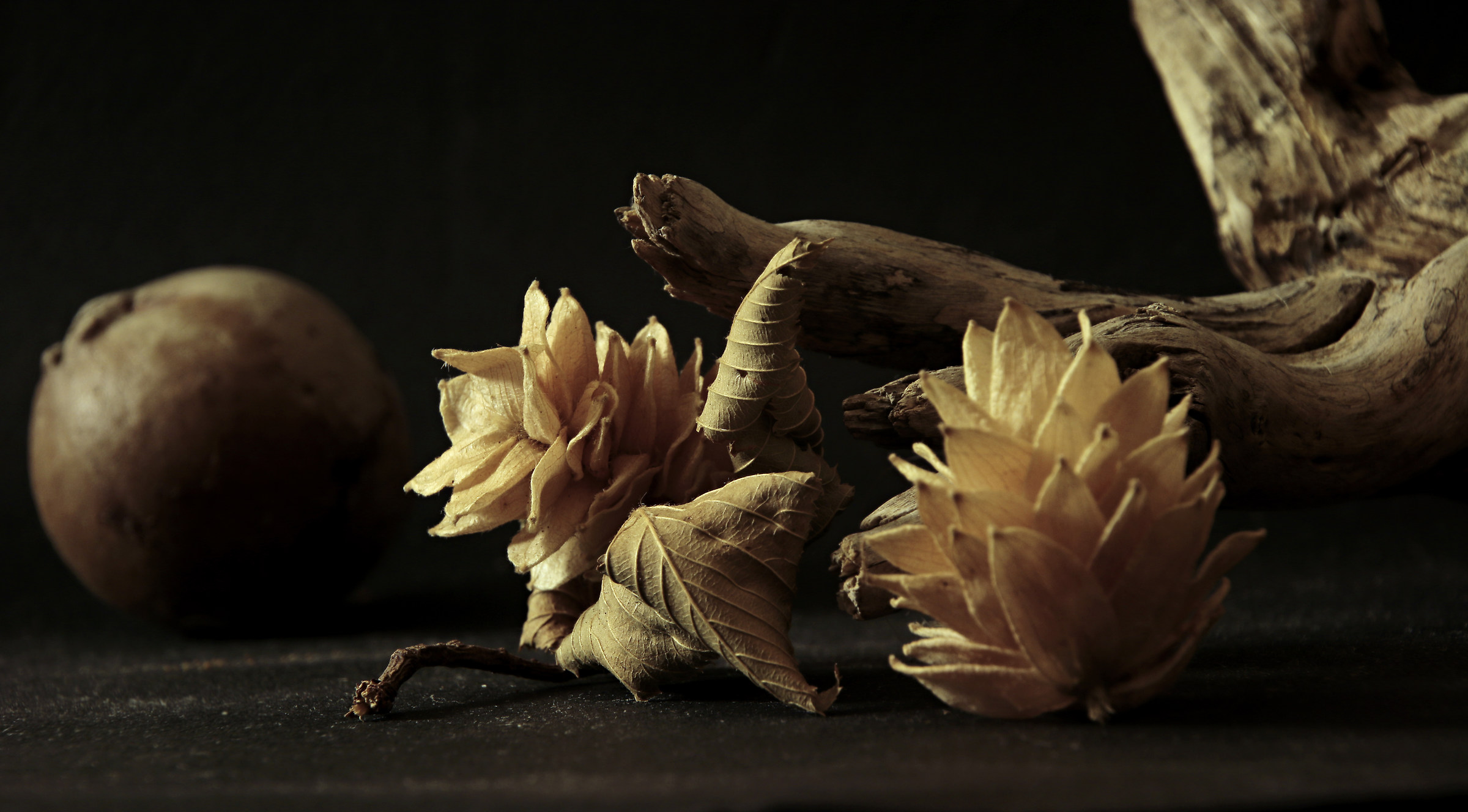 dried flowers
