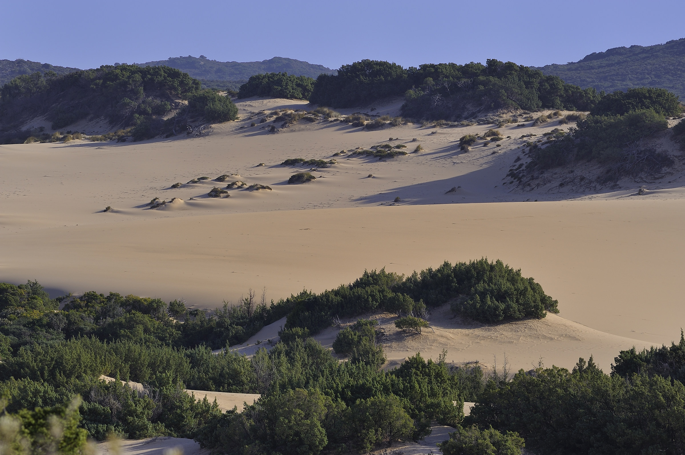 Dune di Piscinas
