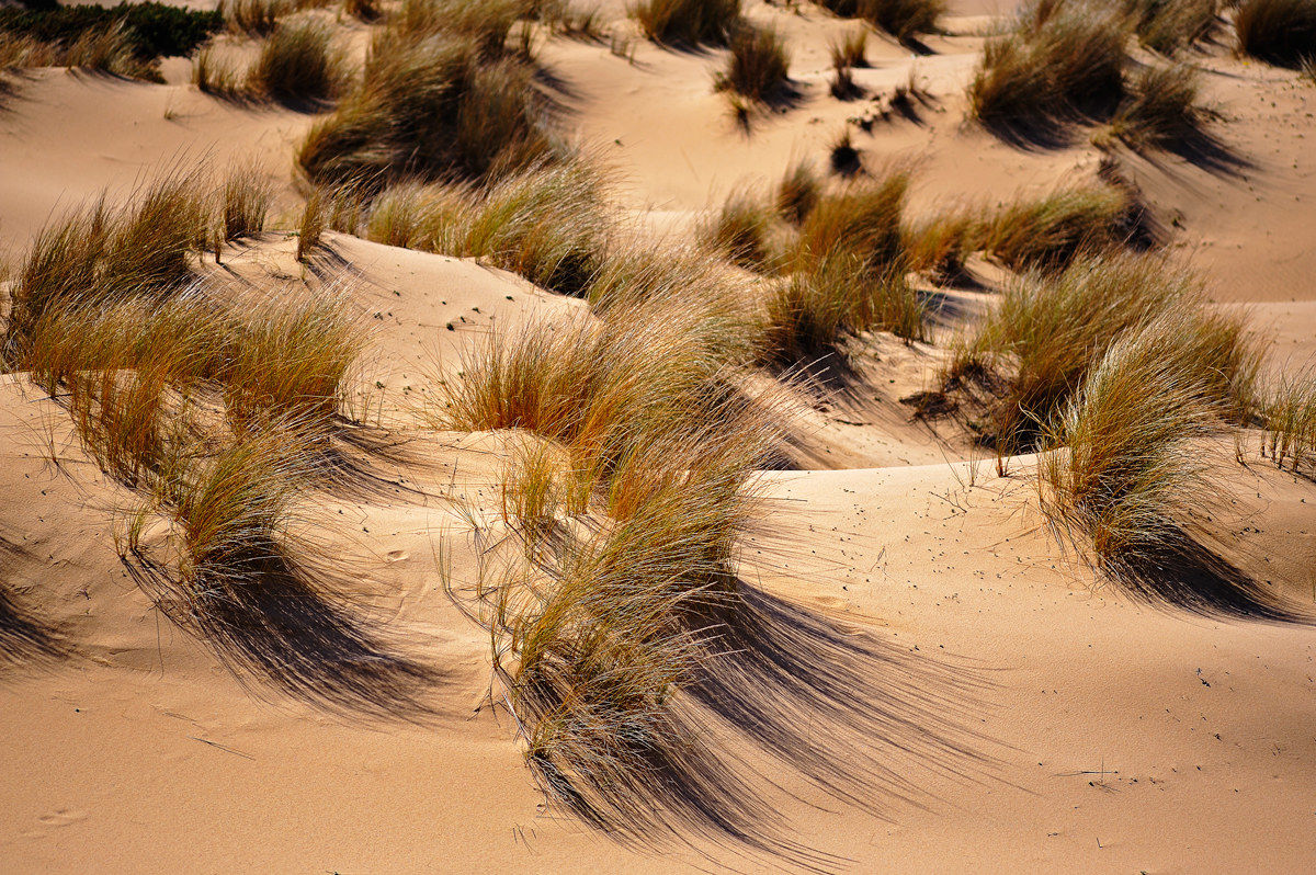 Dune di Piscinas "onde & spruzzi"