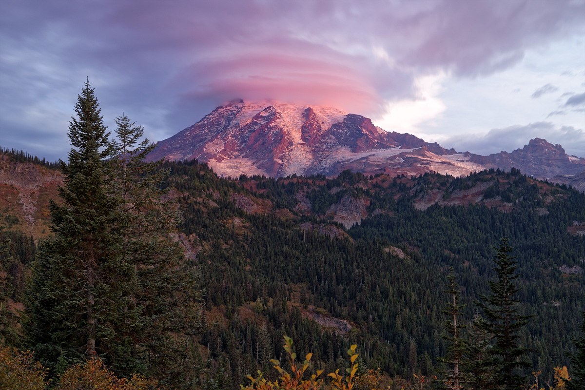 Mt Rainier