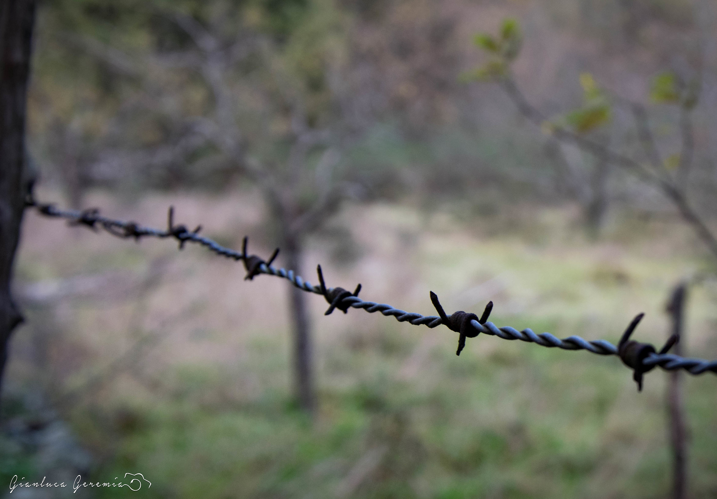 The limit that can not exceed ...