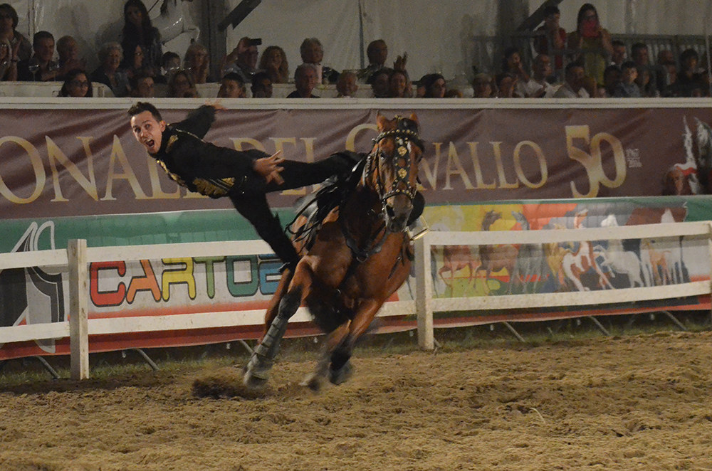 volteggiatori città di castello 2016