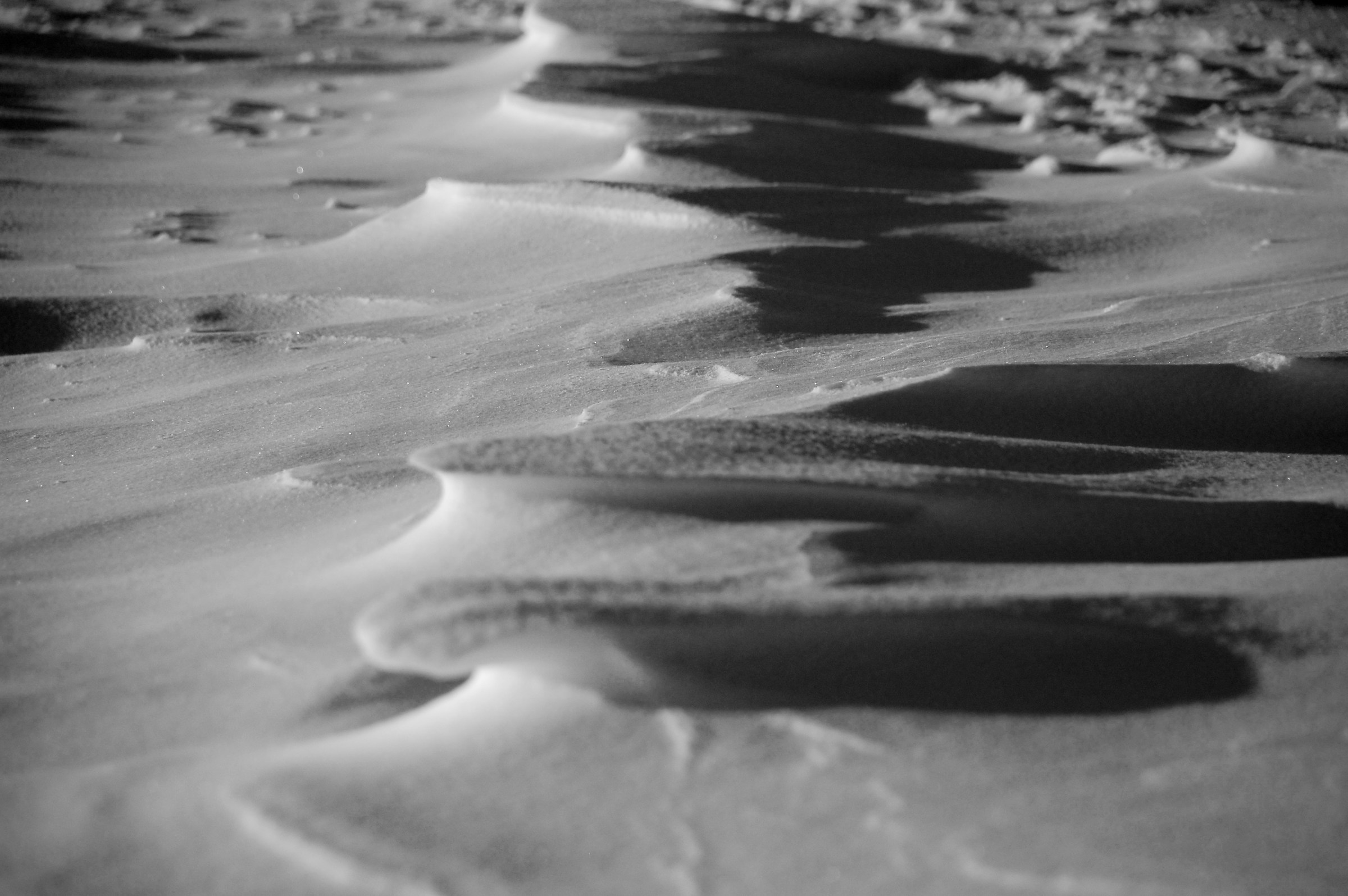 sculpted by the wind