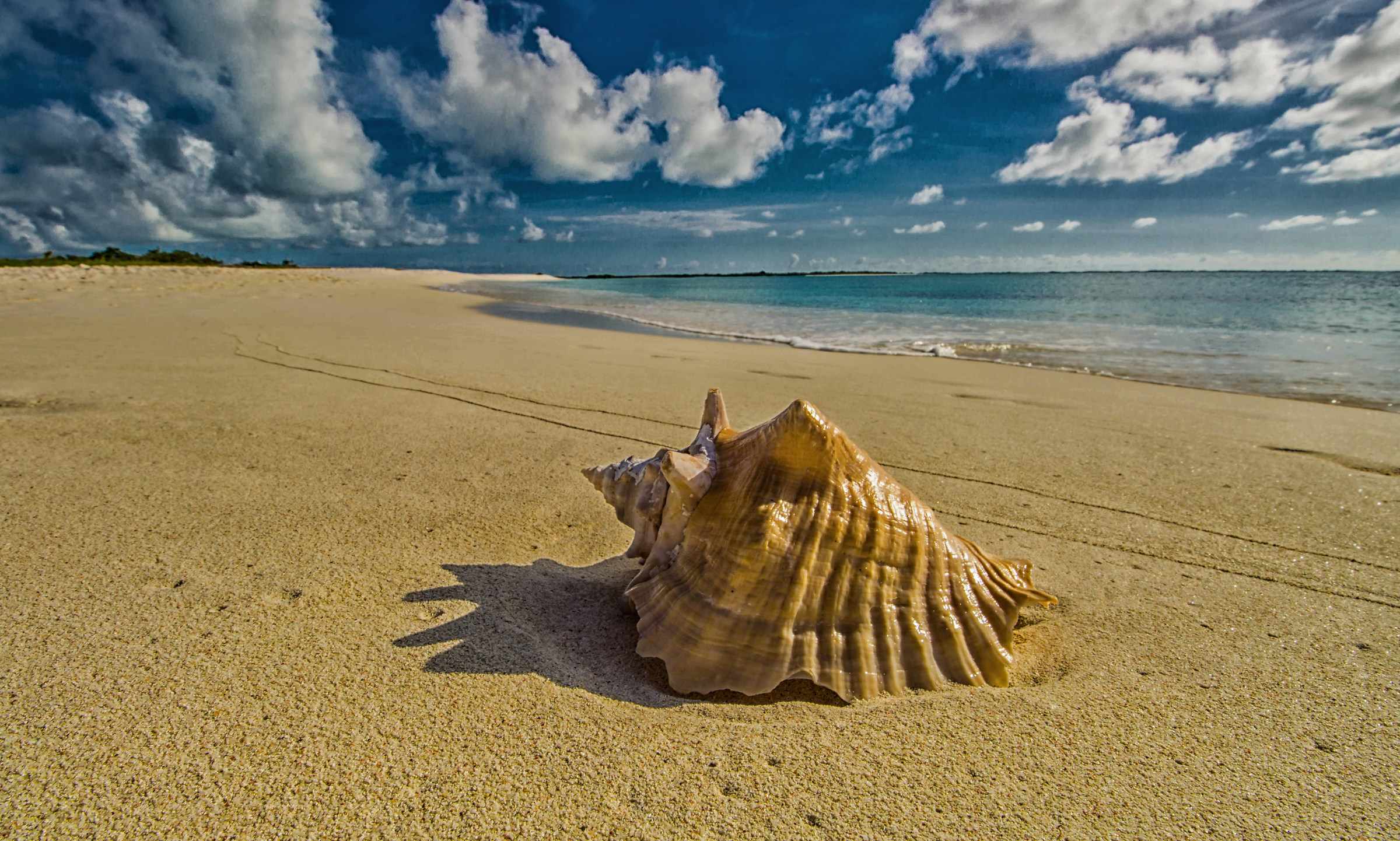 Summer on a solitary beach