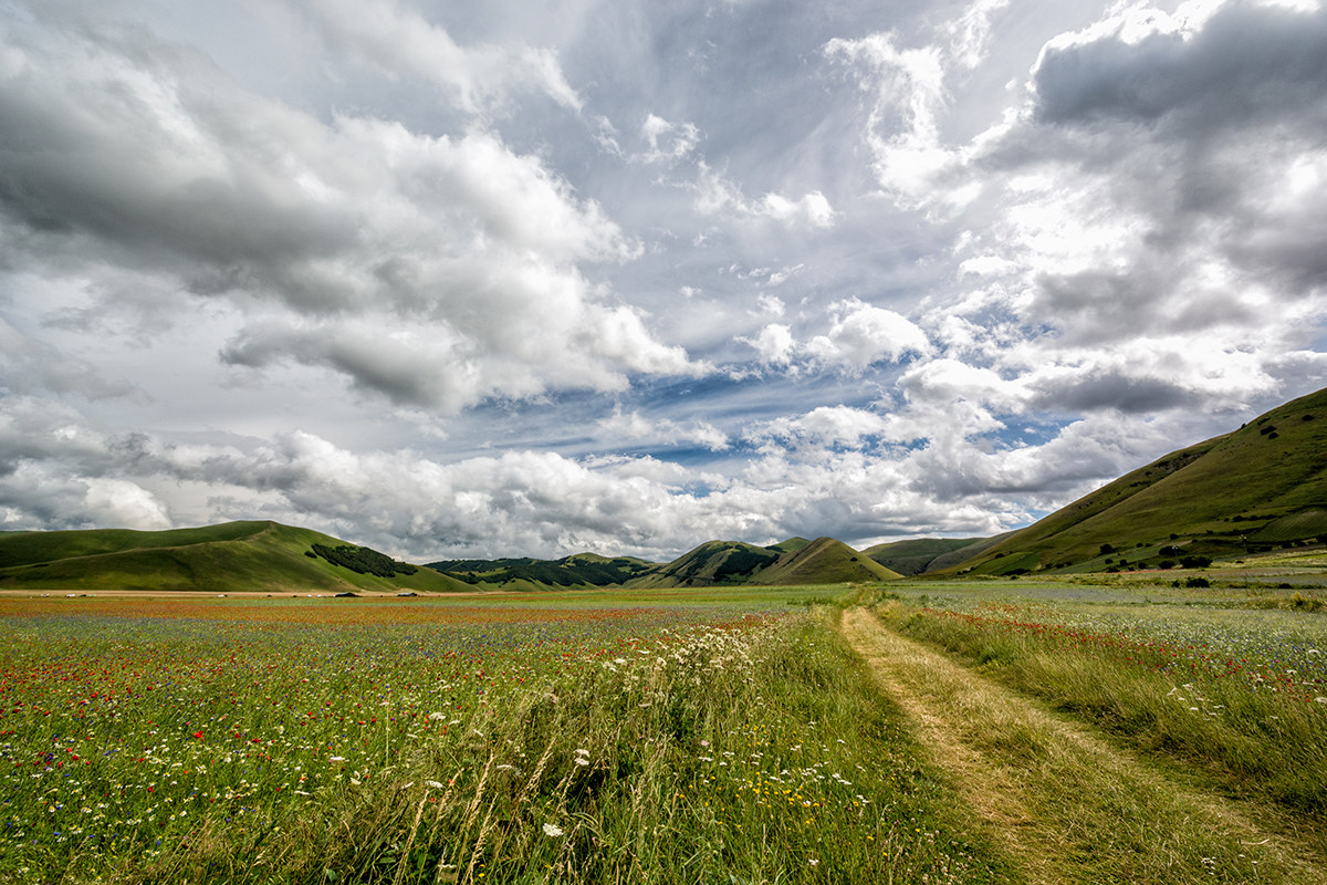Castelluccio