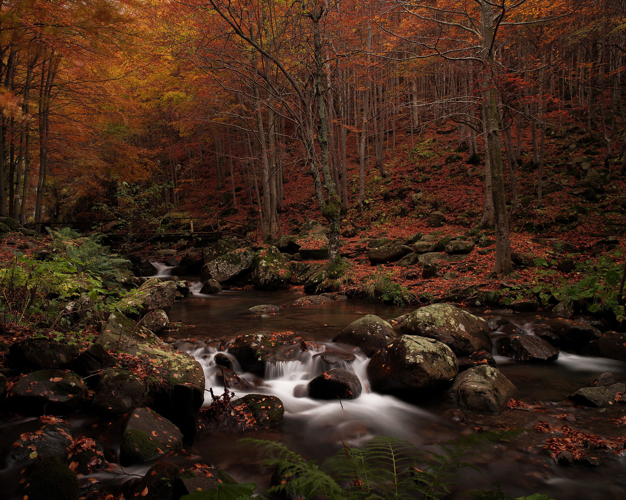 light and shadow, Dardagna