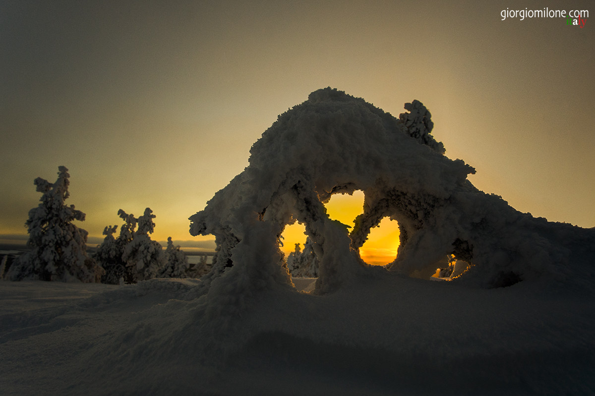 Warm wishes in cold Riisiitunturi