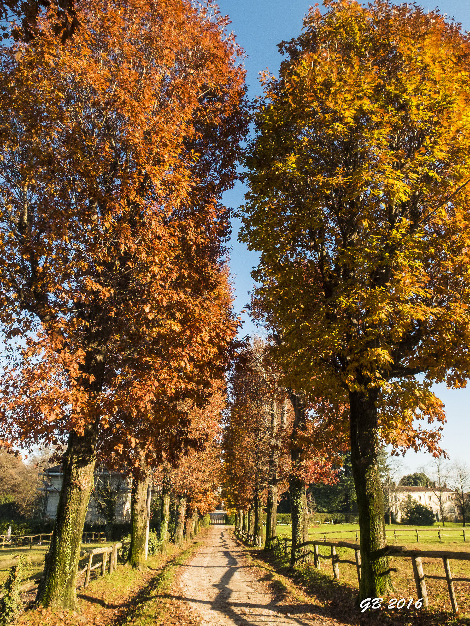 colorazioni autunnali